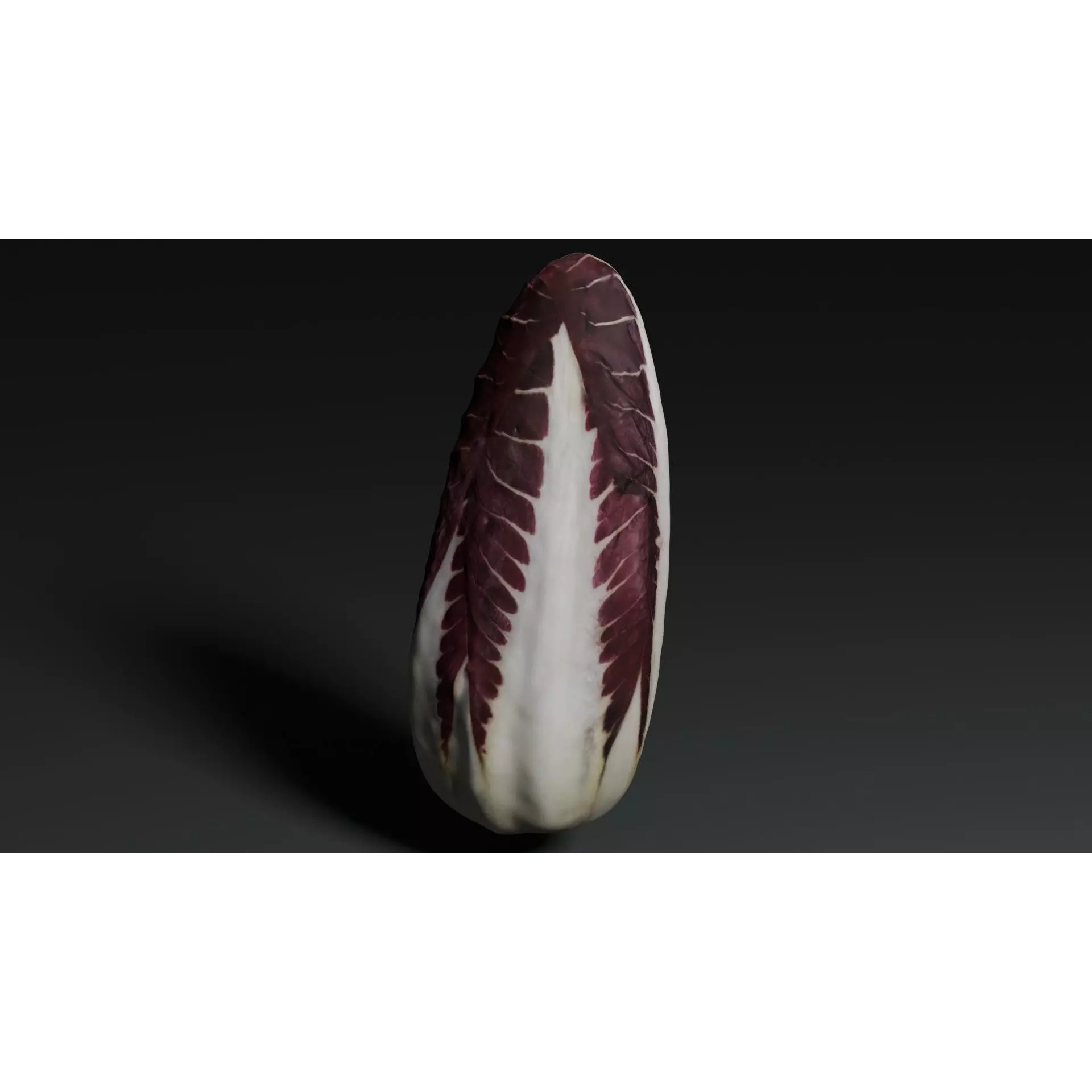 Radicchio 3D Model – Realistic Vegetable Asset, PBR Textures, Blender, FBX - View 7