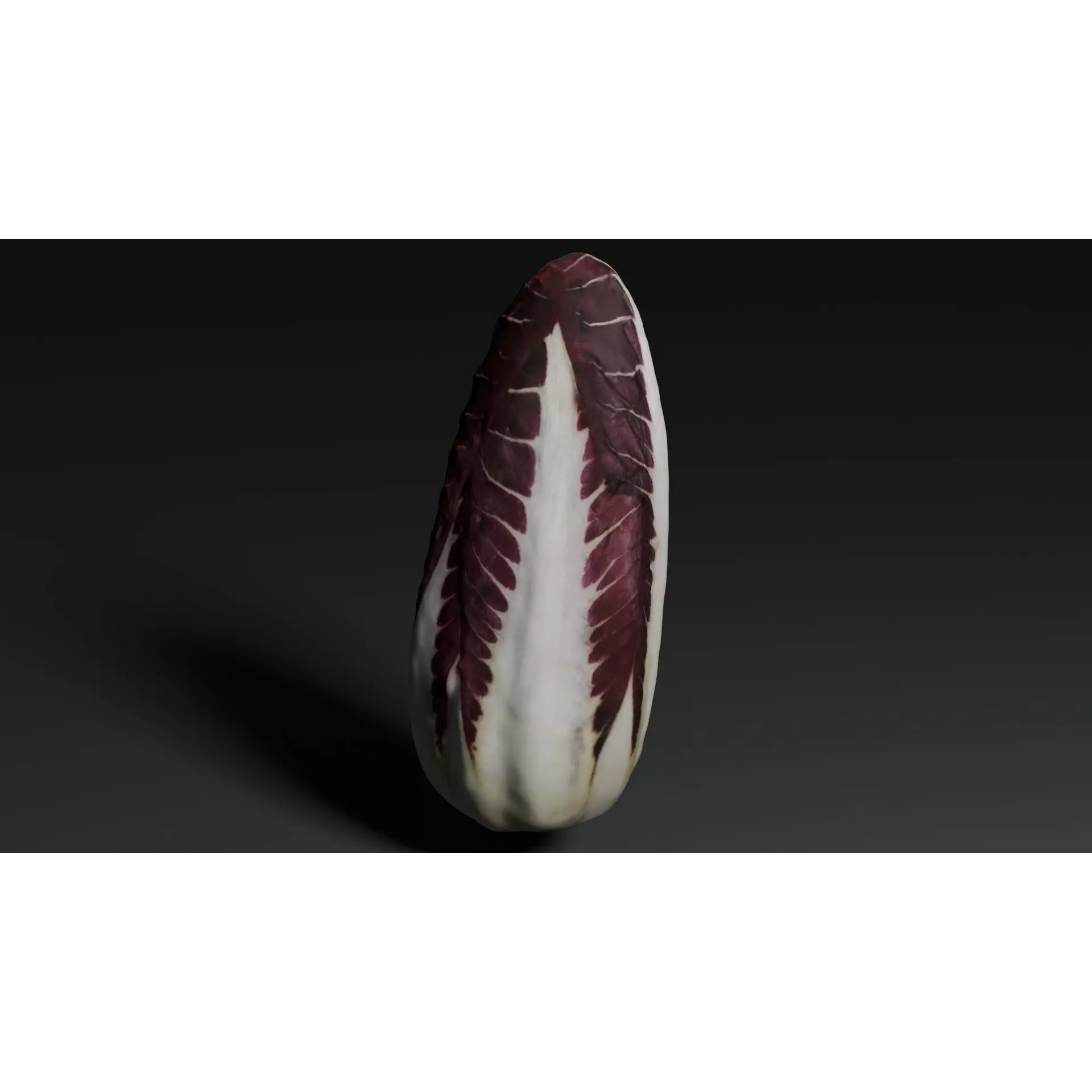 Radicchio 3D Model – Realistic Vegetable Asset, PBR Textures, Blender, FBX - View 8