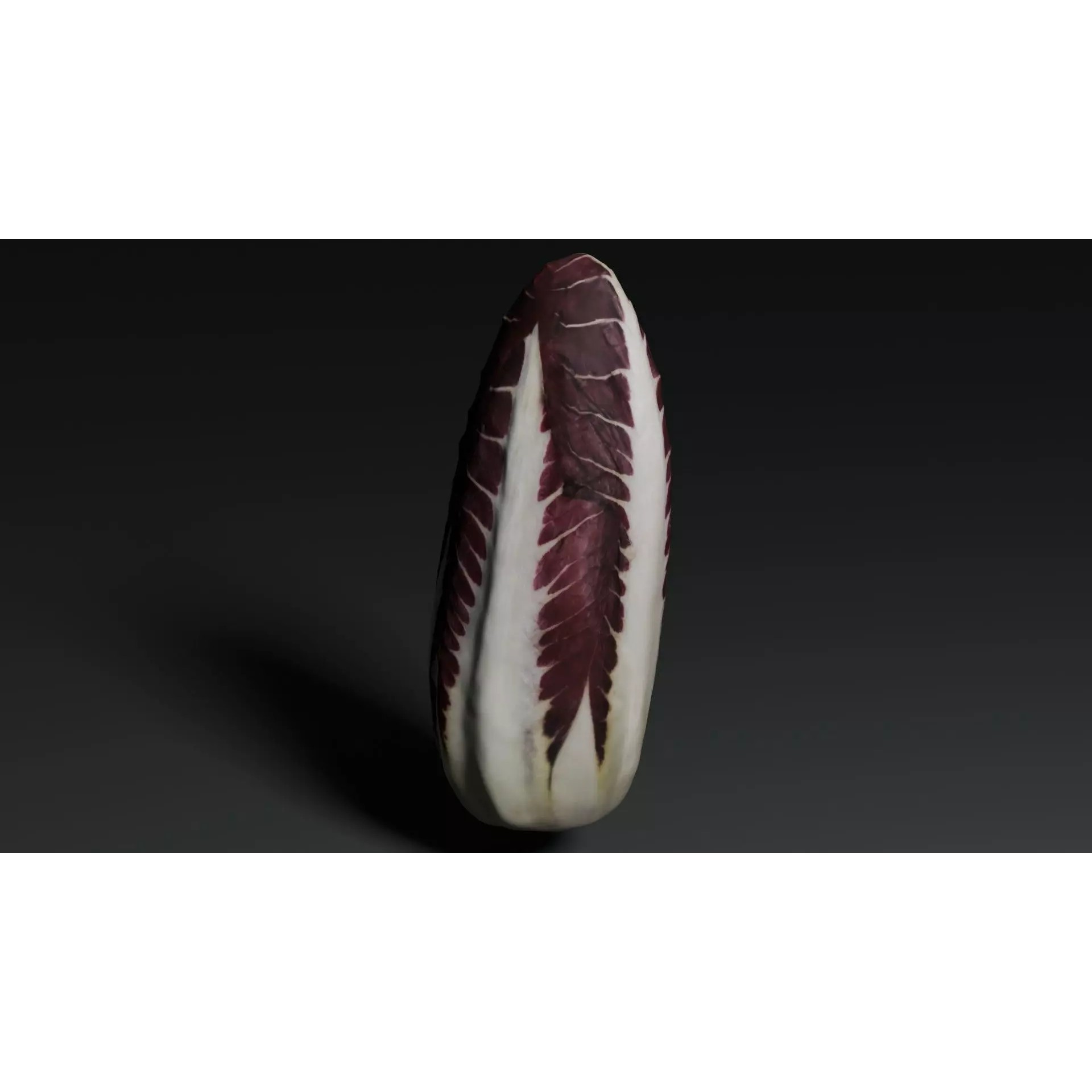 Radicchio 3D Model – Realistic Vegetable Asset, PBR Textures, Blender, FBX - View 9