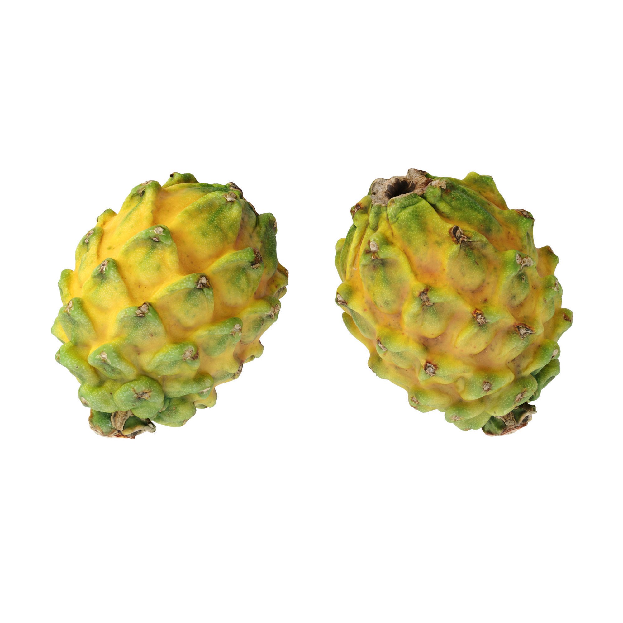 Dragon Fruits 3D Model – High Poly Photogrammetry Asset, FBX & OBJ - View 10
