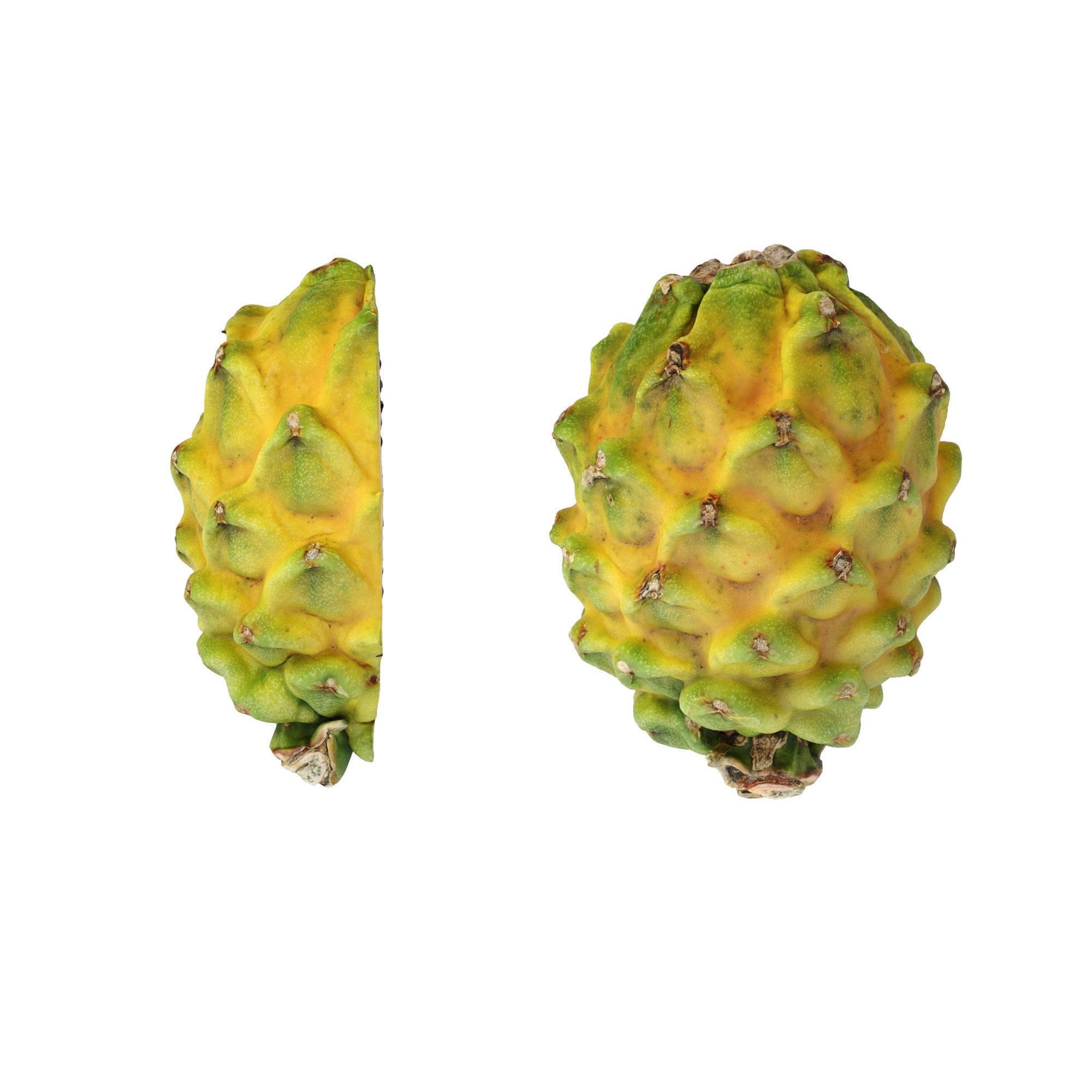 Dragon Fruits 3D Model – High Poly Photogrammetry Asset, FBX & OBJ - View 11