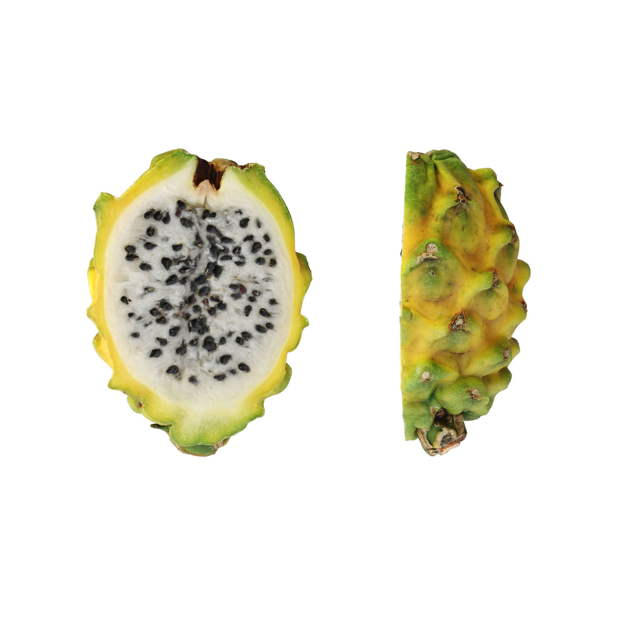 Dragon Fruits 3D Model – High Poly Photogrammetry Asset, FBX & OBJ - View 12