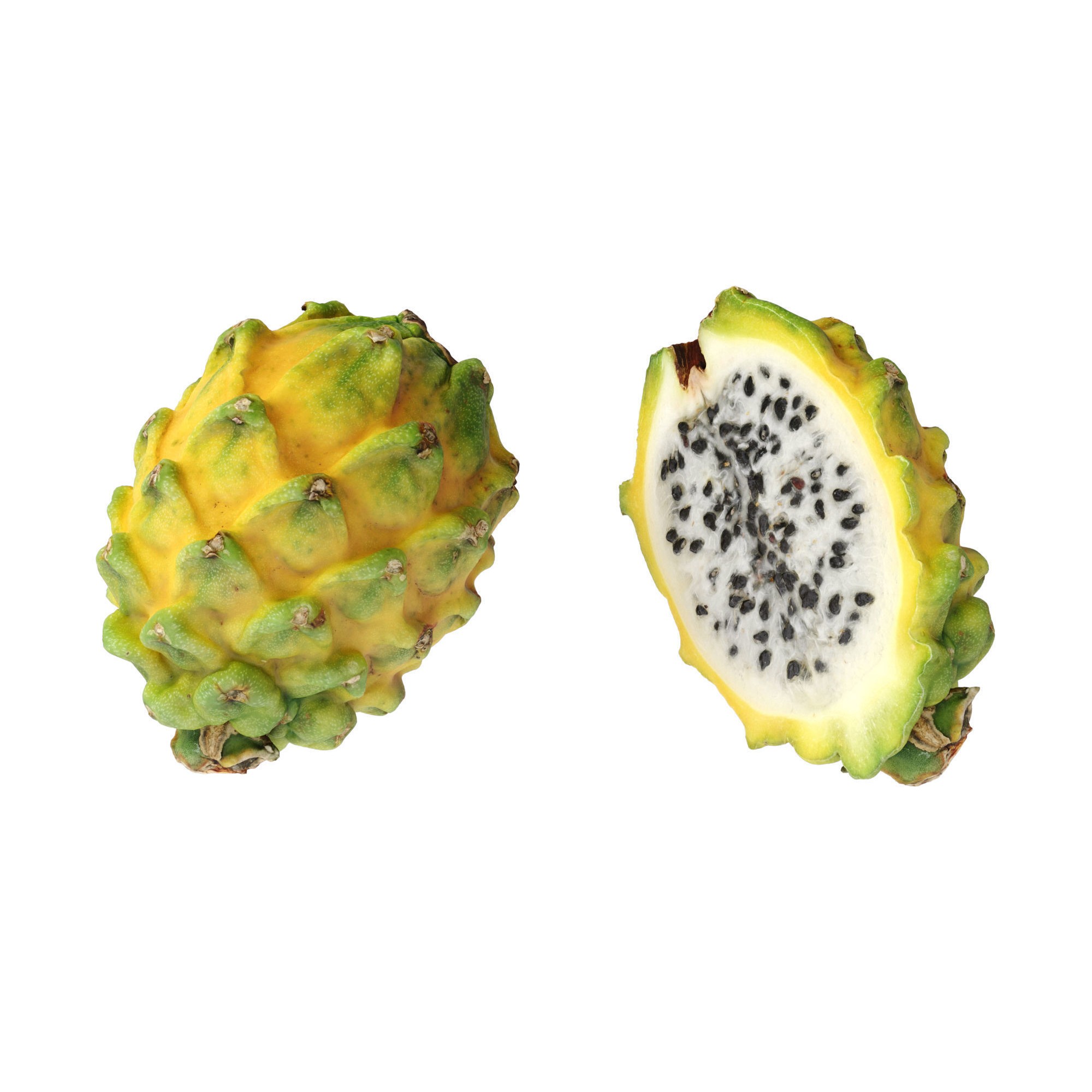 Dragon Fruits 3D Model – High Poly Photogrammetry Asset, FBX & OBJ - View 16