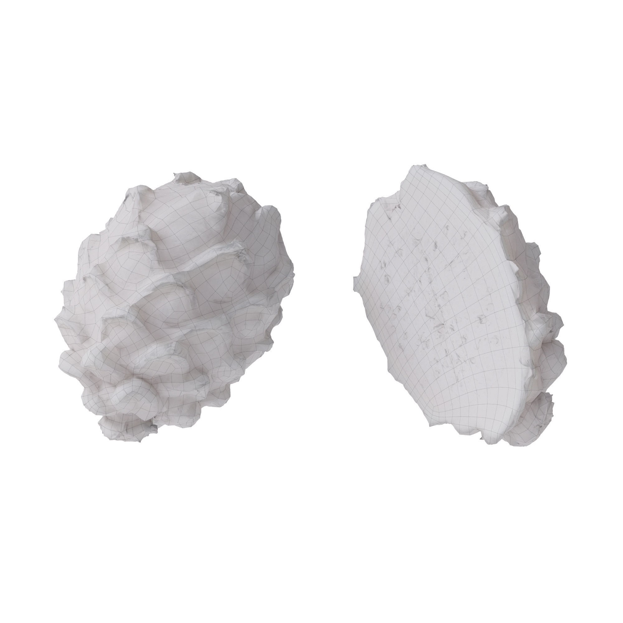 Dragon Fruits 3D Model – High Poly Photogrammetry Asset, FBX & OBJ - View 17