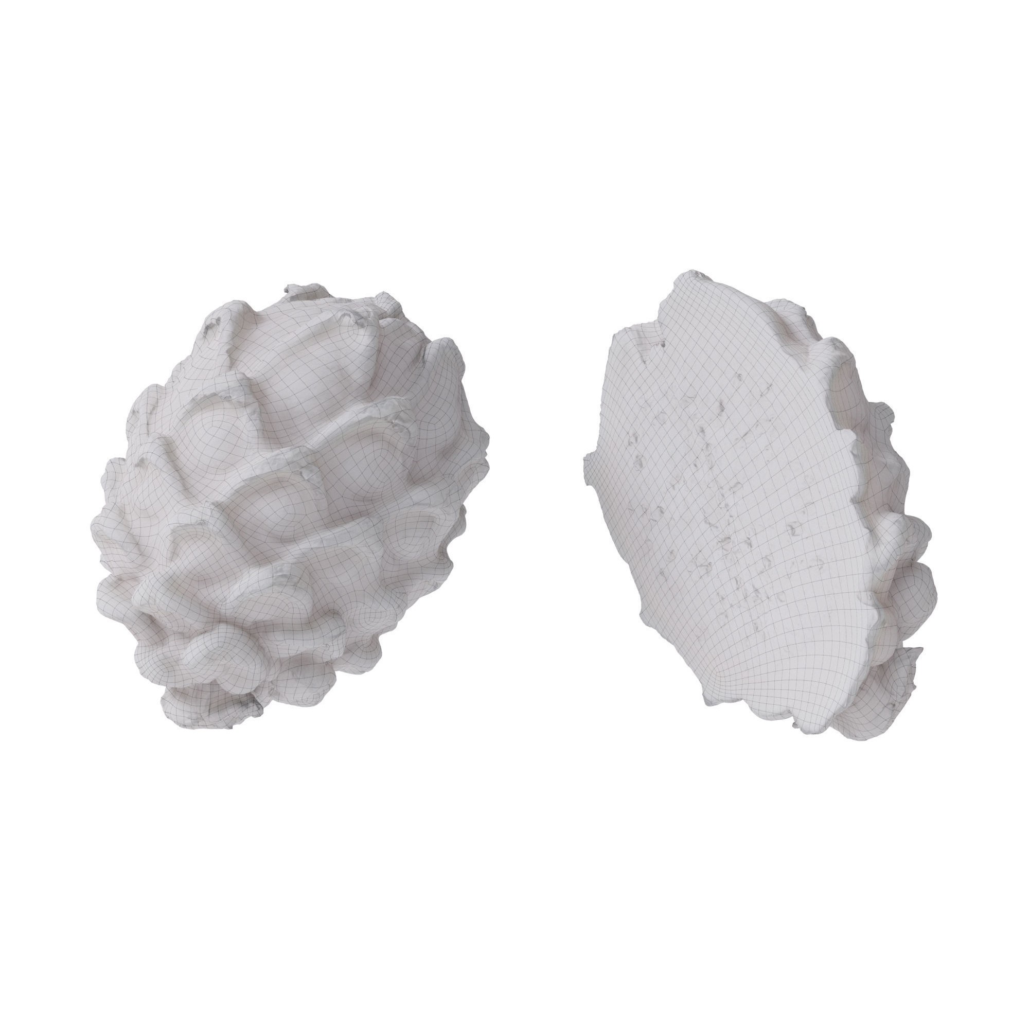 Dragon Fruits 3D Model – High Poly Photogrammetry Asset, FBX & OBJ - View 18