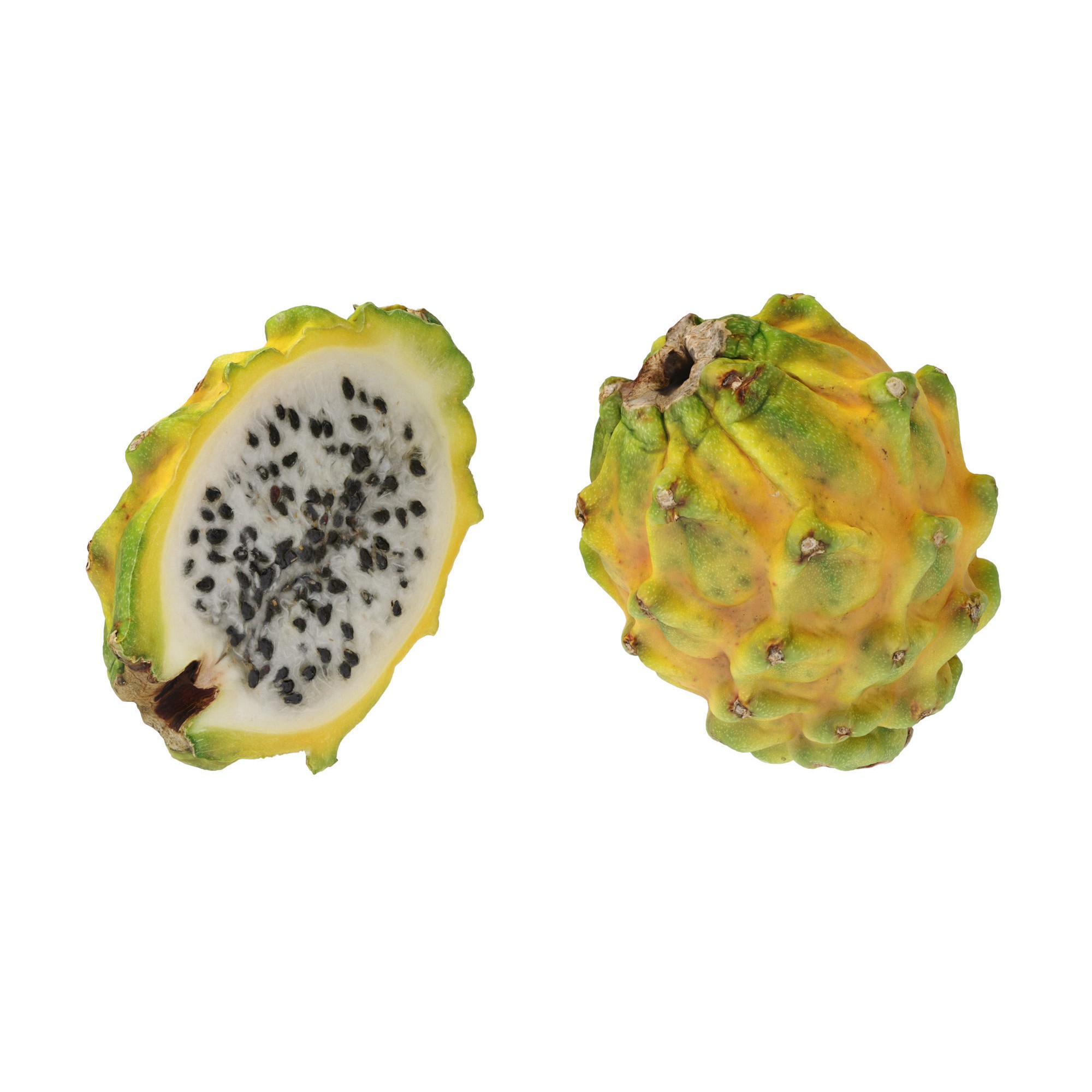 Dragon Fruits 3D Model – High Poly Photogrammetry Asset, FBX & OBJ - View 7