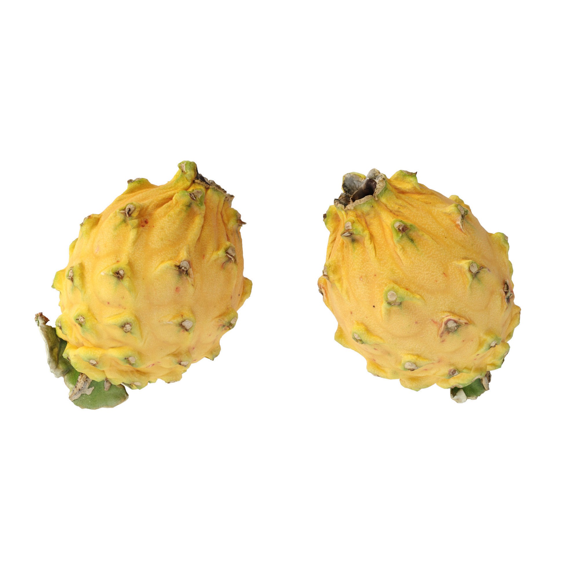 Dragon Fruits 3D Model – High Poly Photogrammetry Asset, FBX & OBJ - View 8
