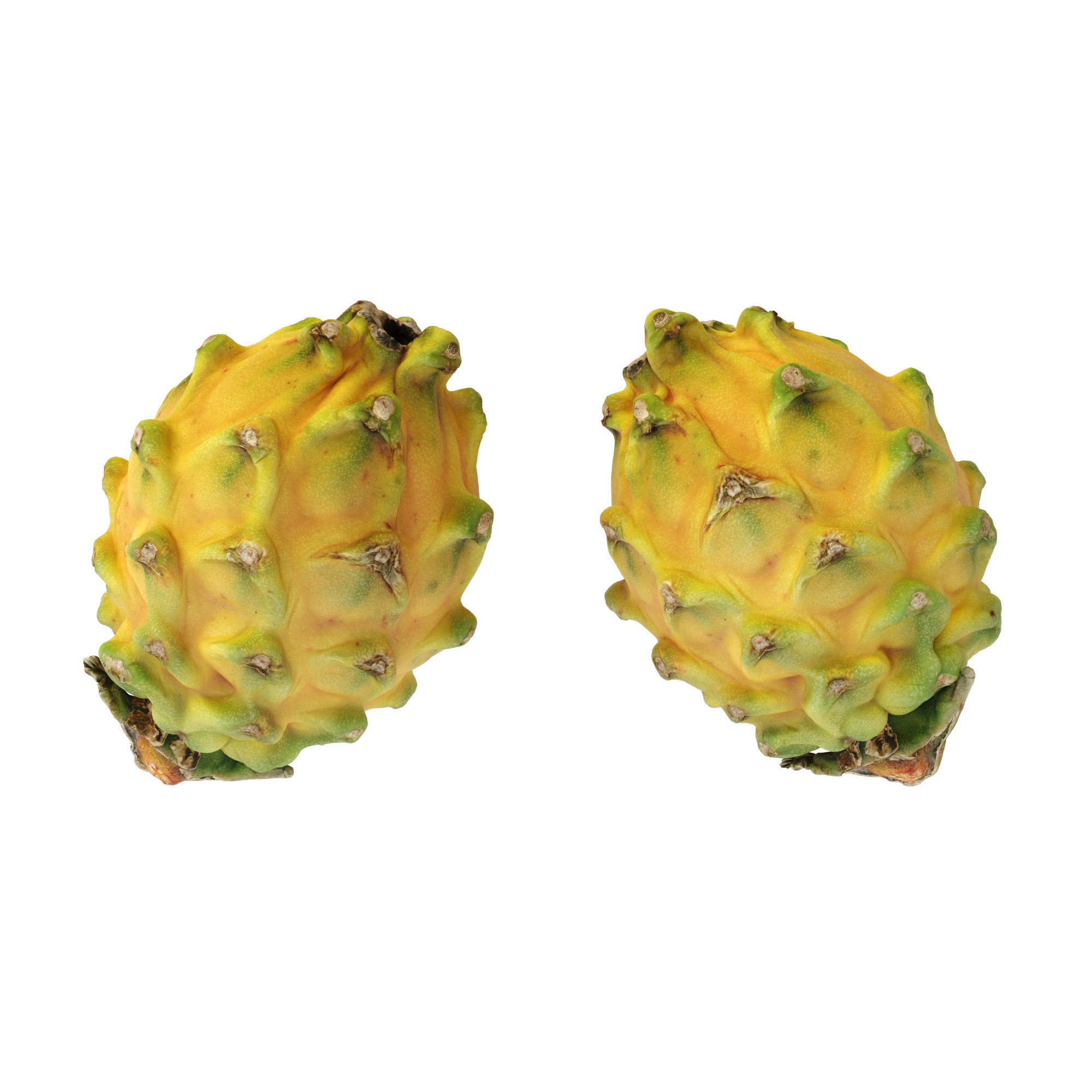 Dragon Fruits 3D Model – High Poly Photogrammetry Asset, FBX & OBJ - View 9