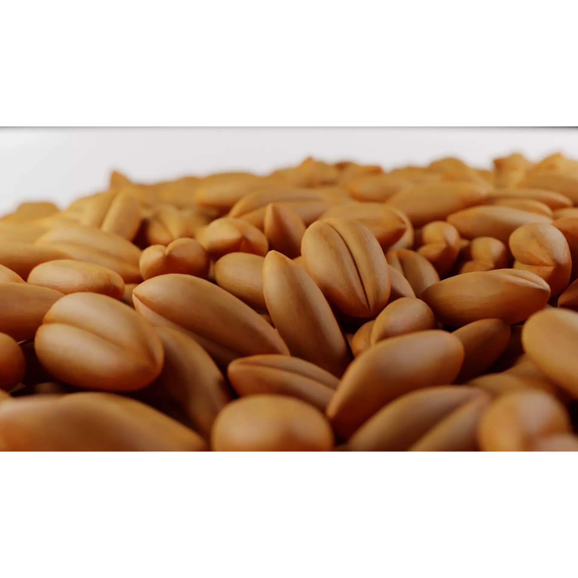 Wheat Seeds 3D Model – Textured Agricultural Asset, PBR, FBX, Blender - View 2
