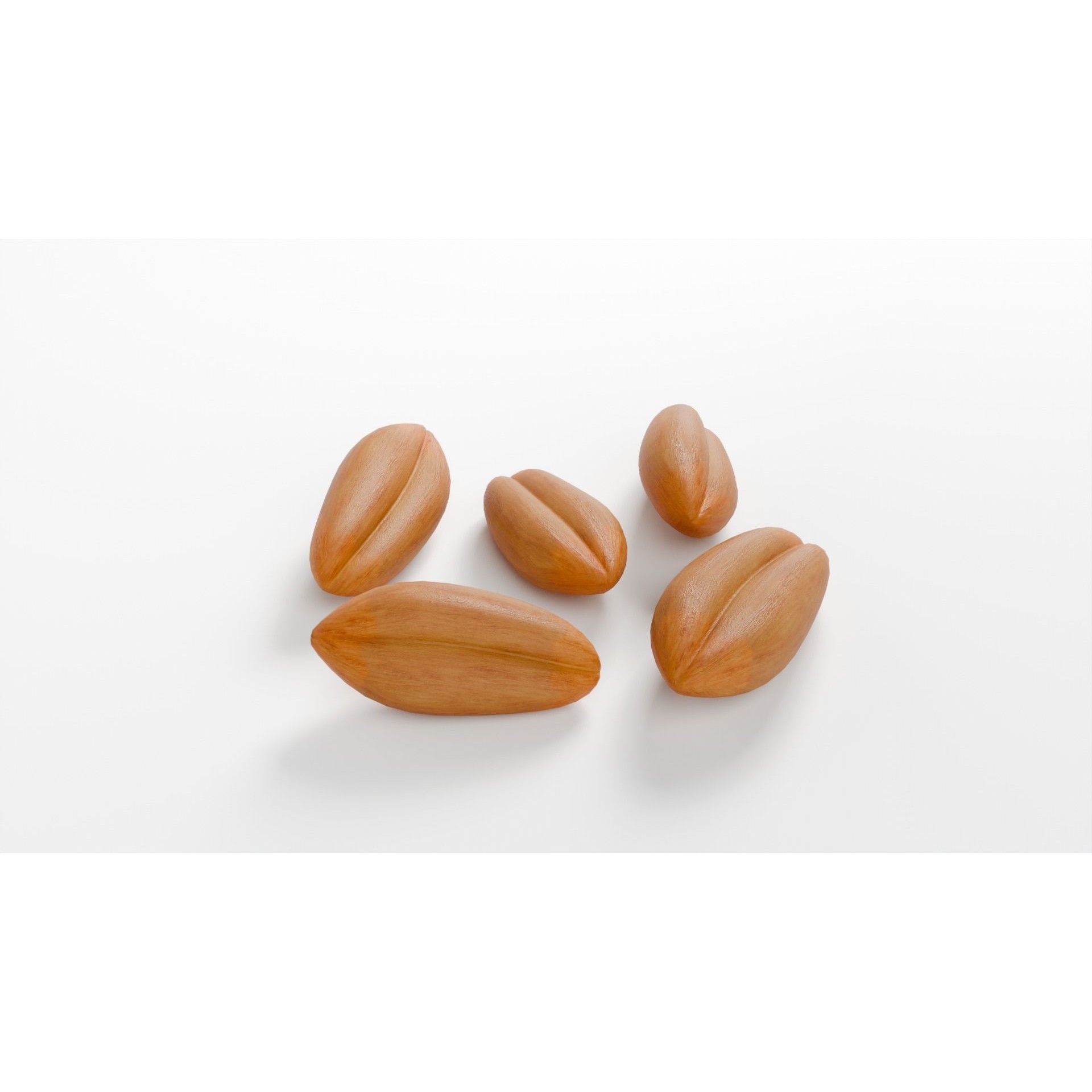 Wheat Seeds 3D Model – Textured Agricultural Asset, PBR, FBX, Blender - View 4