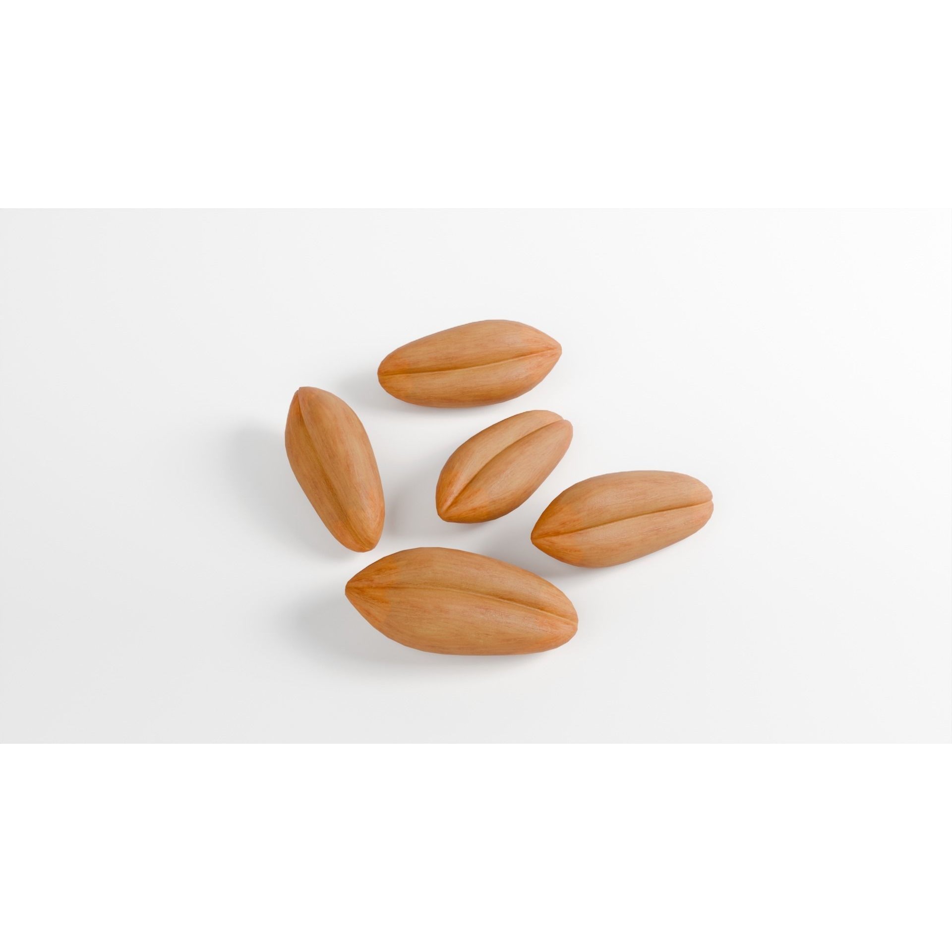Wheat Seeds 3D Model – Textured Agricultural Asset, PBR, FBX, Blender - View 6
