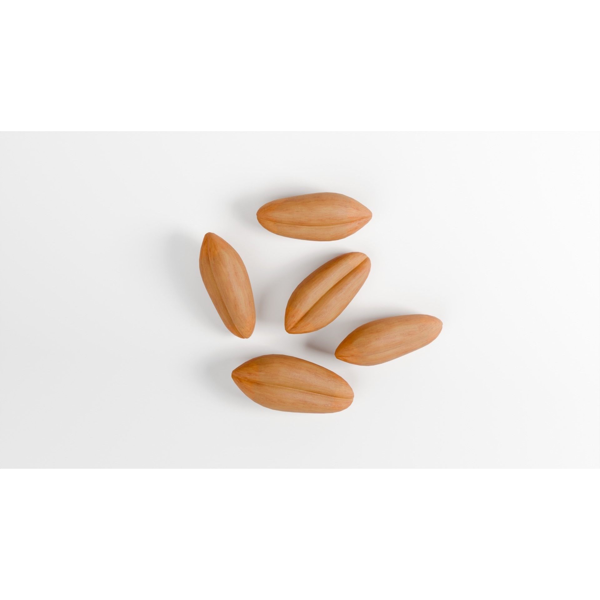 Wheat Seeds 3D Model – Textured Agricultural Asset, PBR, FBX, Blender - View 8