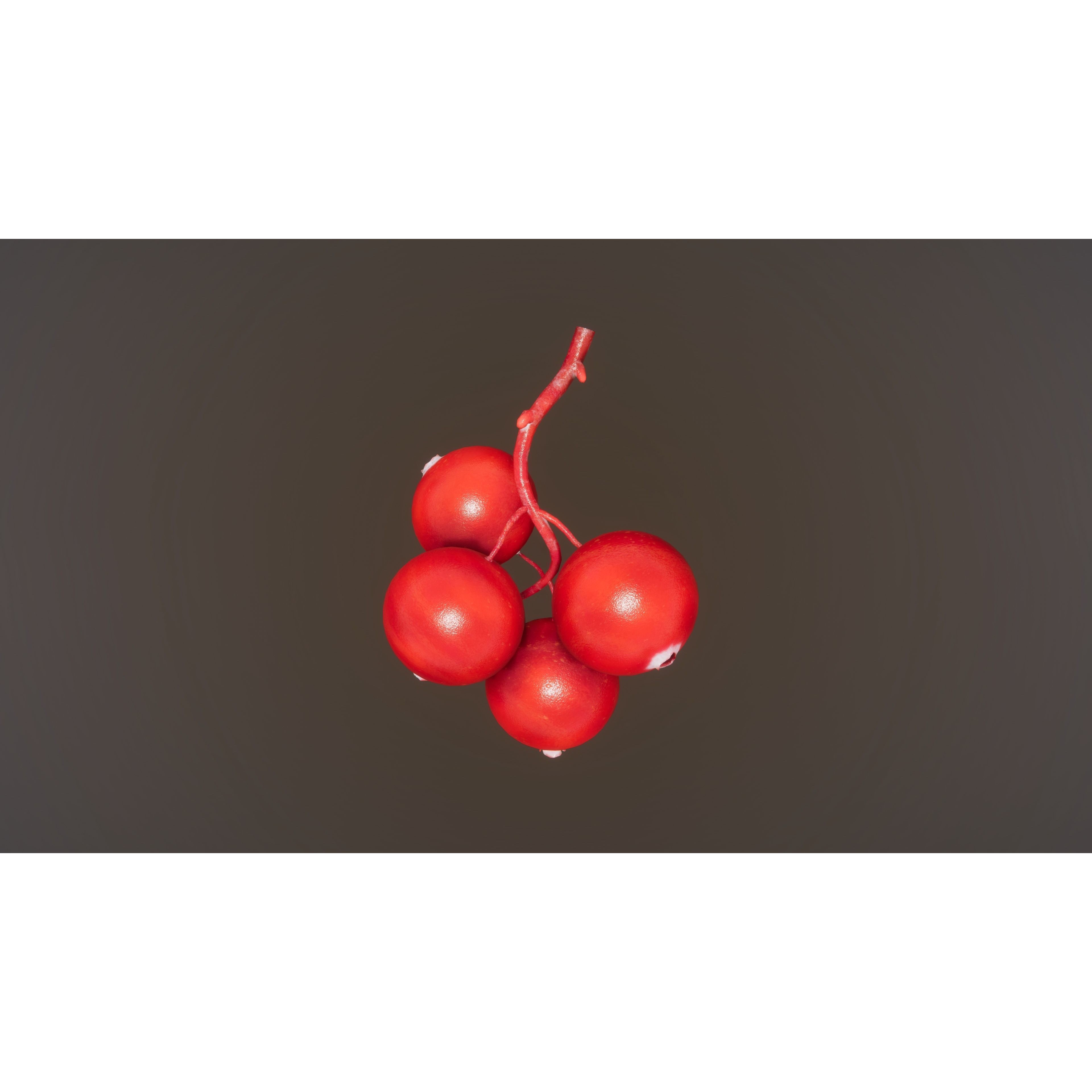 Berries and Cherries 3D Model – High Quality PBR Fruit Assets, FBX - View 10