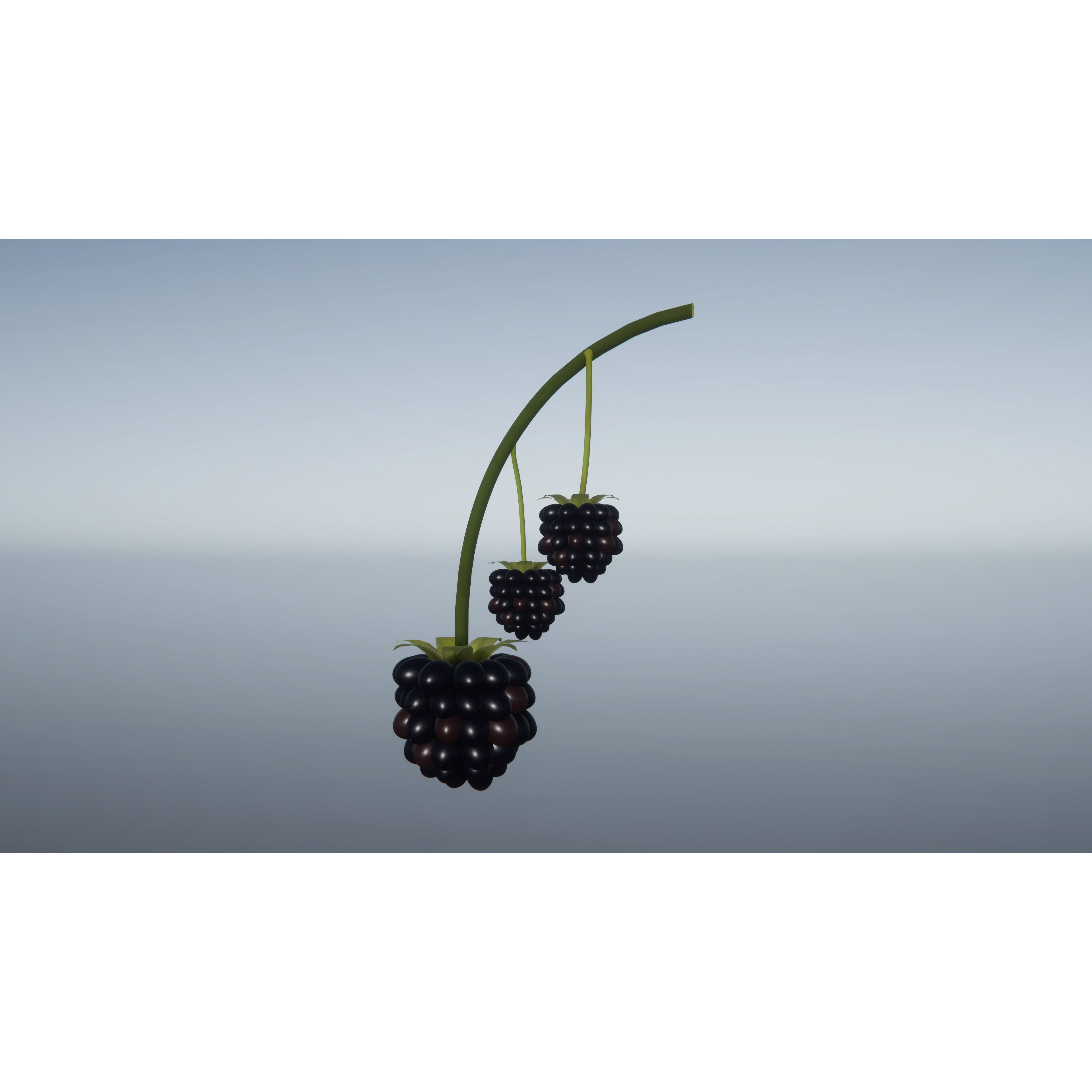 Berries and Cherries 3D Model – High Quality PBR Fruit Assets, FBX - View 14