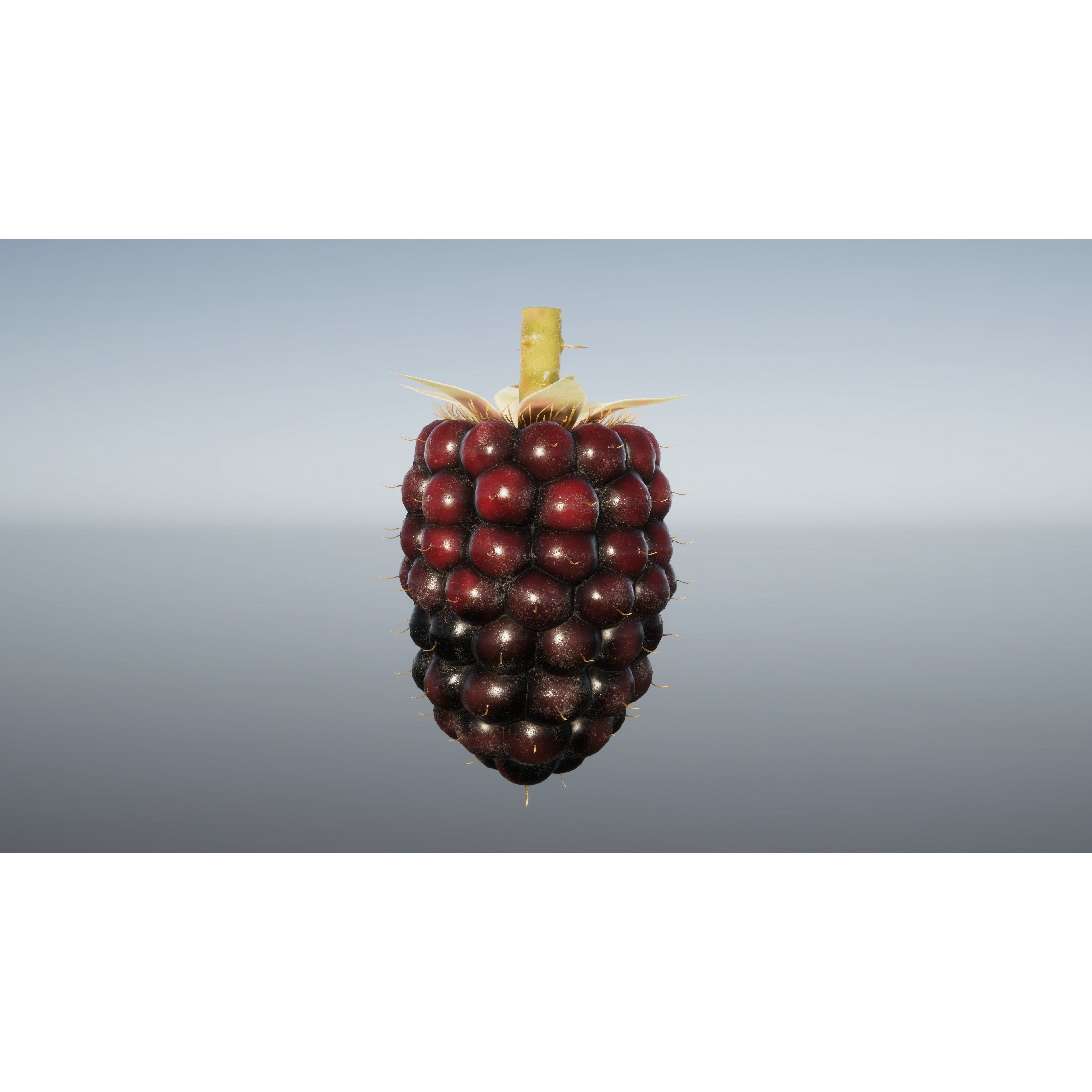Berries and Cherries 3D Model – High Quality PBR Fruit Assets, FBX - View 8