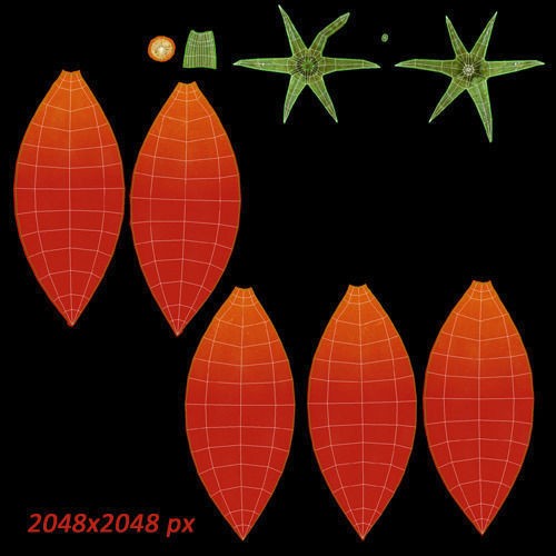 Tomatoes 3D Model – Realistic PBR Vegetable Asset, FBX, OBJ - View 12