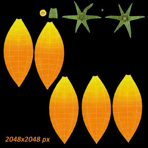Tomatoes 3D Model – Realistic PBR Vegetable Asset, FBX, OBJ - View 13