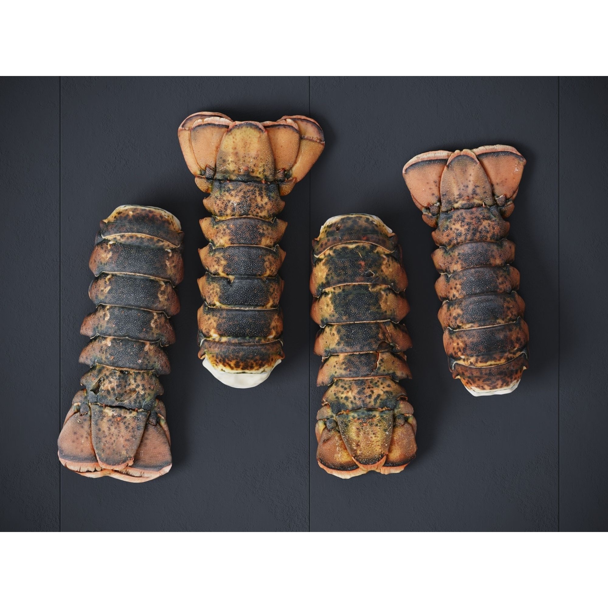 Atlantic Lobster Tails 3D Model – High Poly & Low Poly, FBX/OBJ Formats - View 10