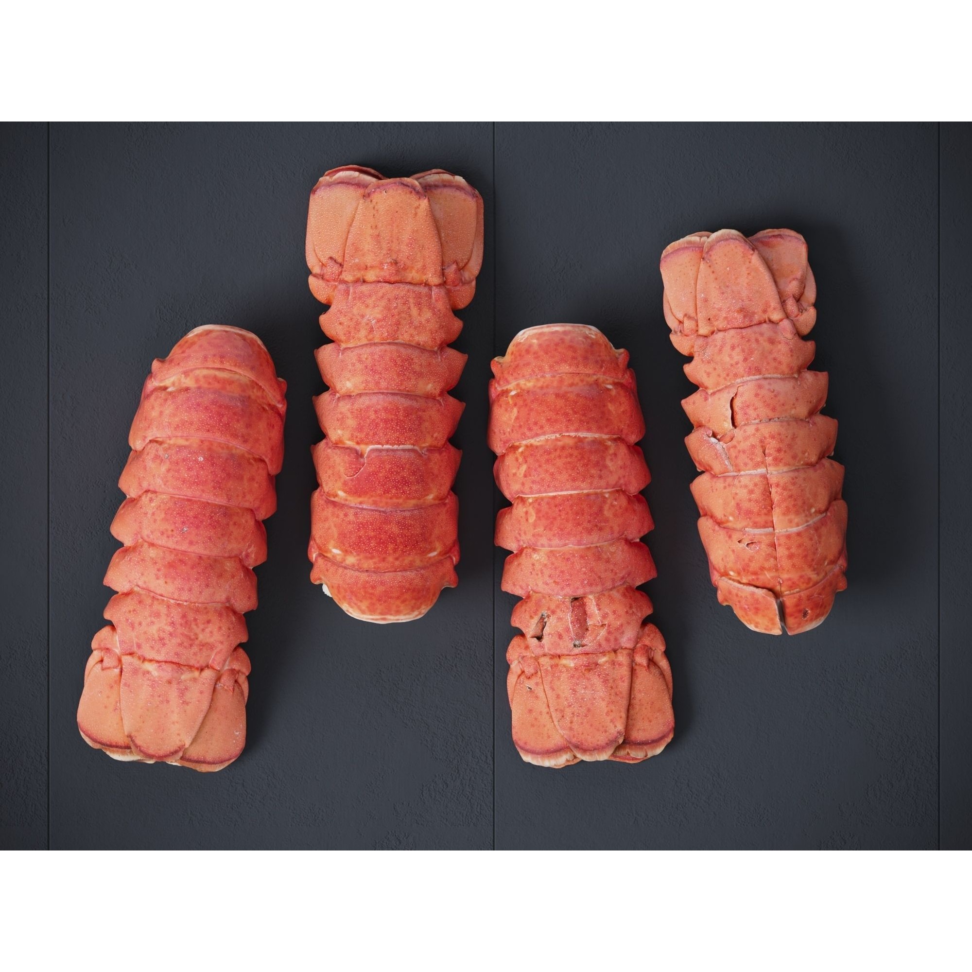 Atlantic Lobster Tails 3D Model – High Poly & Low Poly, FBX/OBJ Formats - View 11
