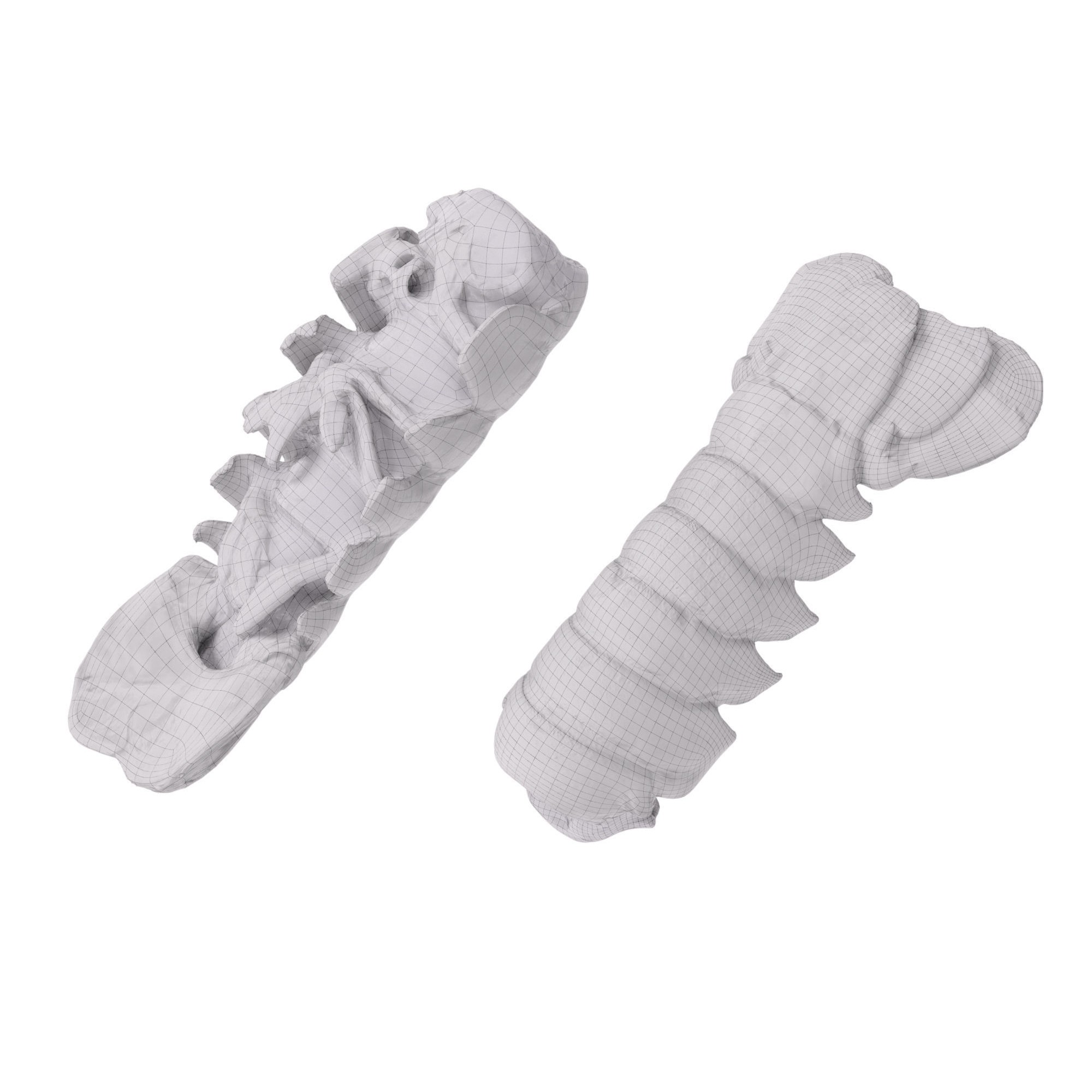 Atlantic Lobster Tails 3D Model – High Poly & Low Poly, FBX/OBJ Formats - View 15