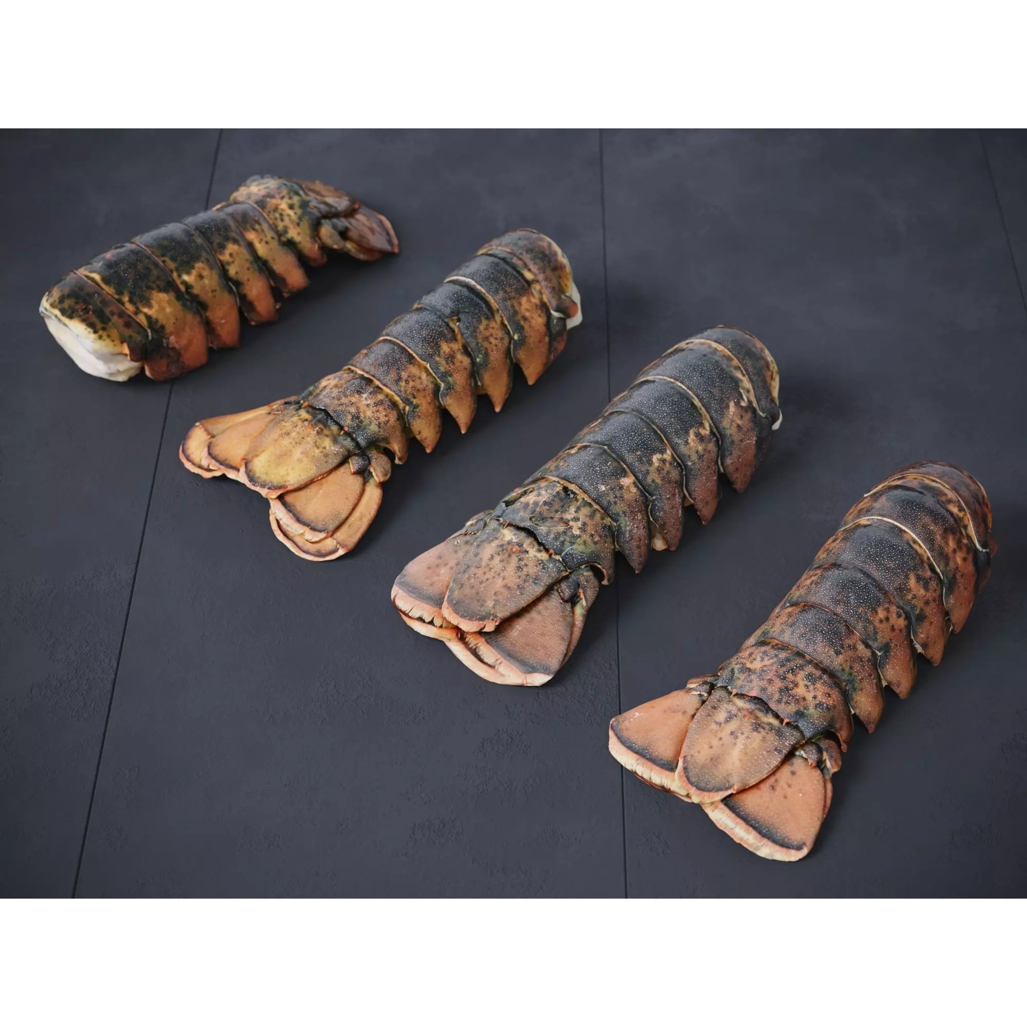 Atlantic Lobster Tails 3D Model – High Poly & Low Poly, FBX/OBJ Formats - View 2