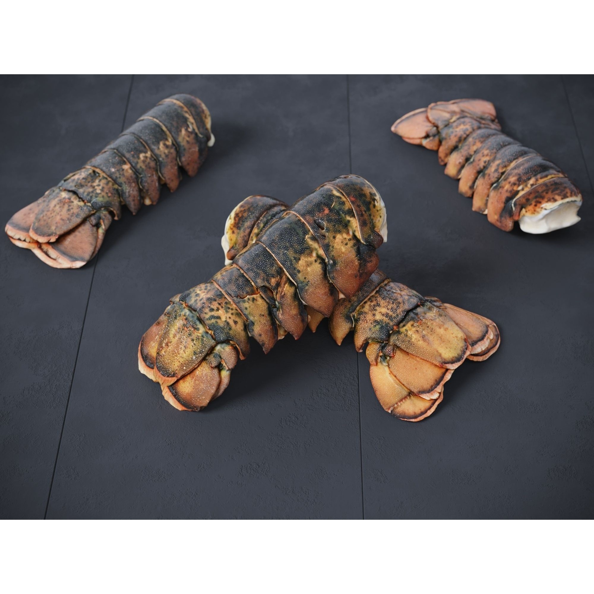 Atlantic Lobster Tails 3D Model – High Poly & Low Poly, FBX/OBJ Formats - View 5