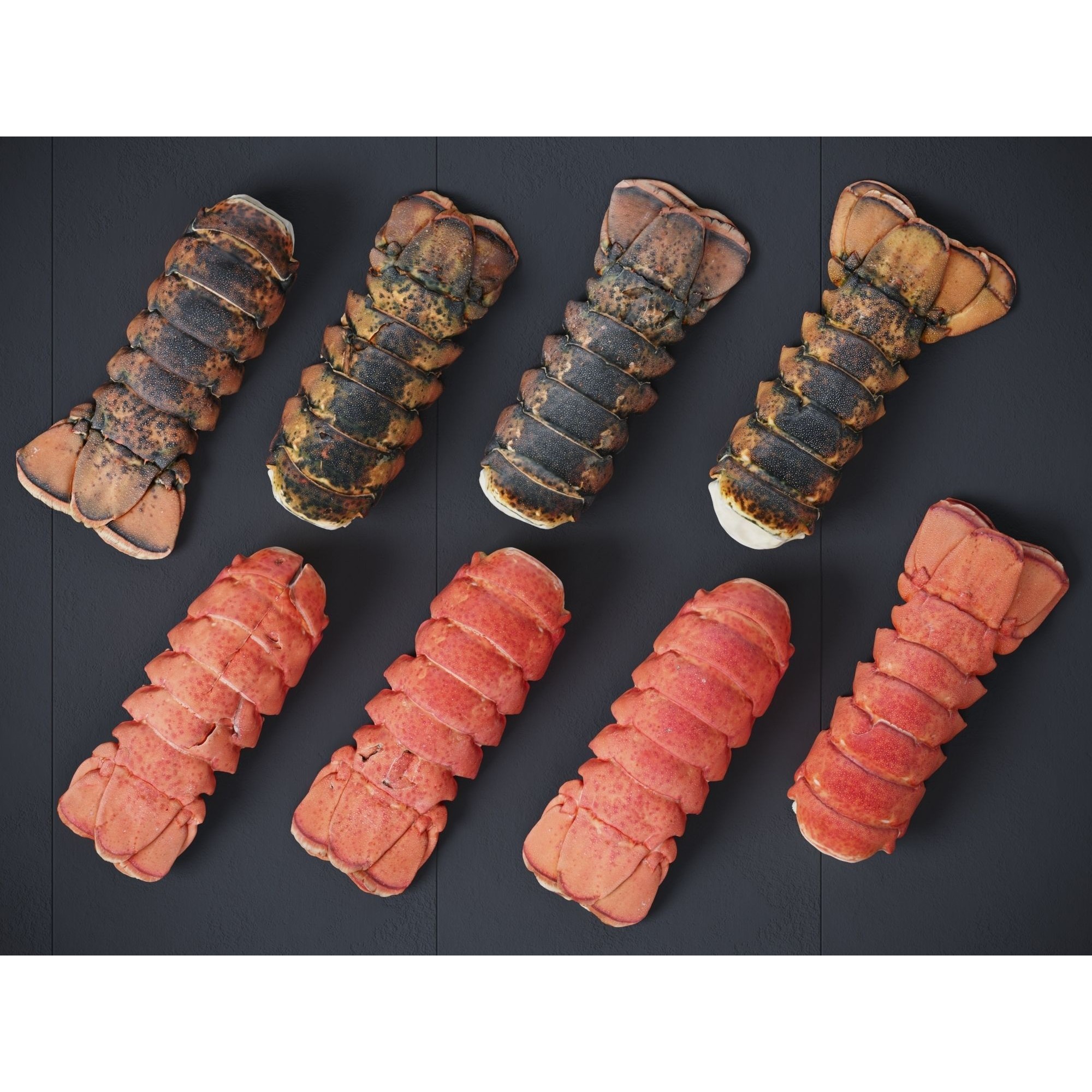 Atlantic Lobster Tails 3D Model – High Poly & Low Poly, FBX/OBJ Formats - View 6