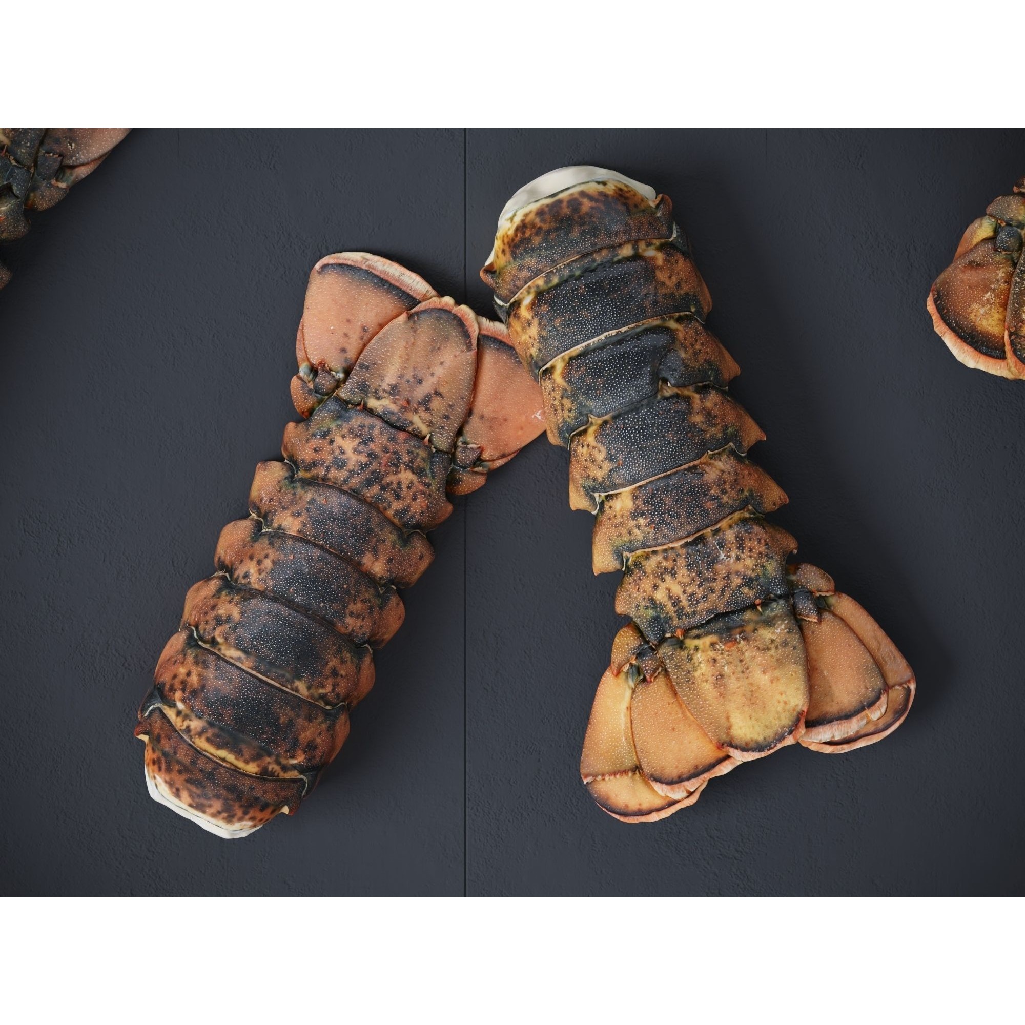 Atlantic Lobster Tails 3D Model – High Poly & Low Poly, FBX/OBJ Formats - View 8