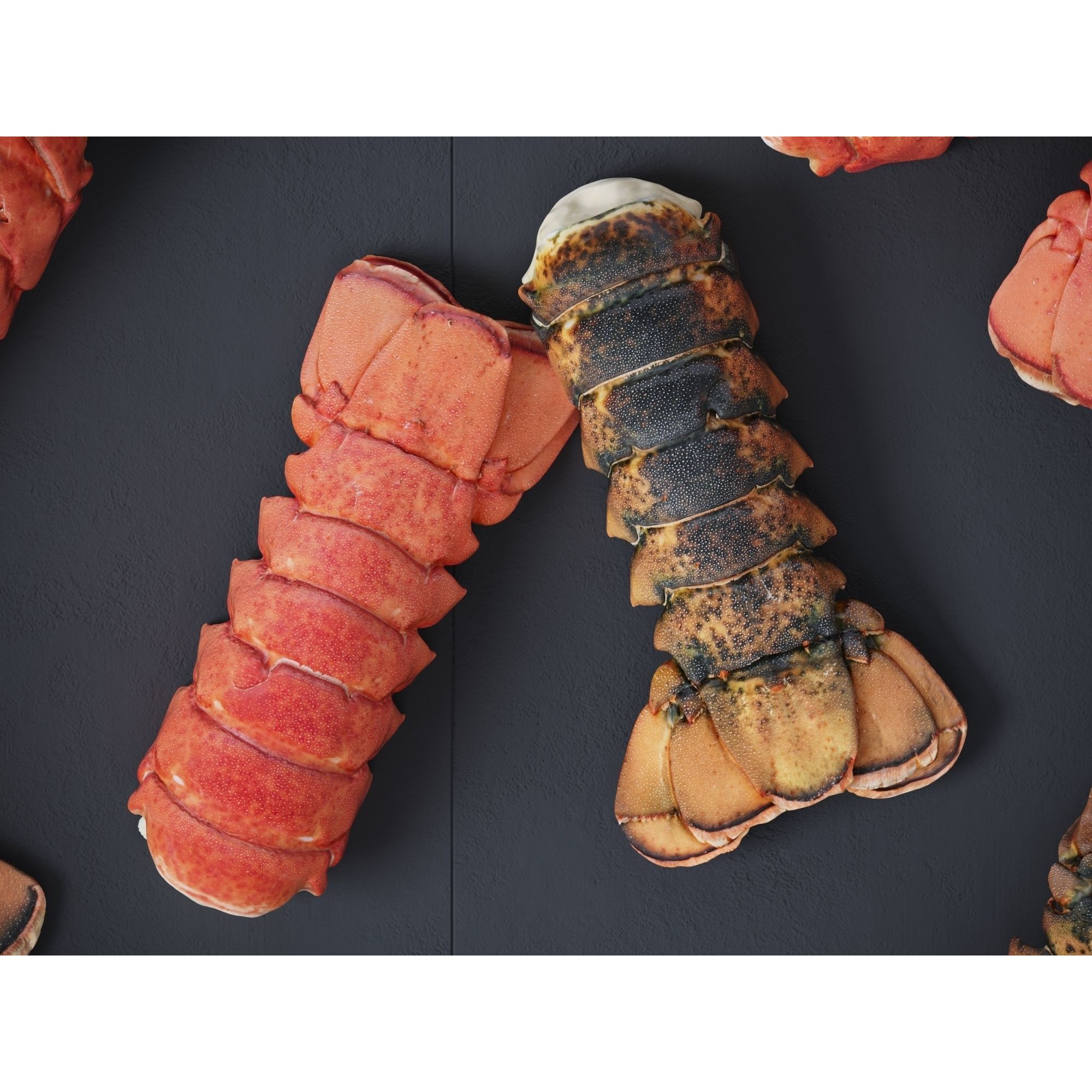 Atlantic Lobster Tails 3D Model – High Poly & Low Poly, FBX/OBJ Formats - View 9