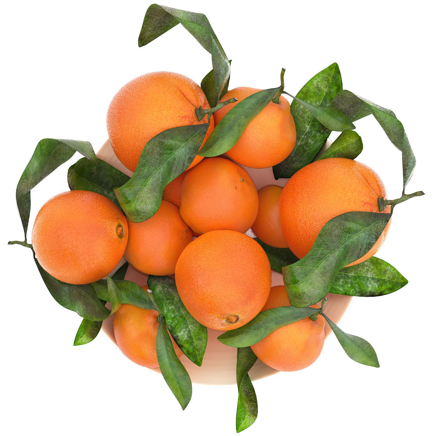 White Bowl of Oranges 3D Model – Realistic Fruit Asset, FBX, OBJ - View 4