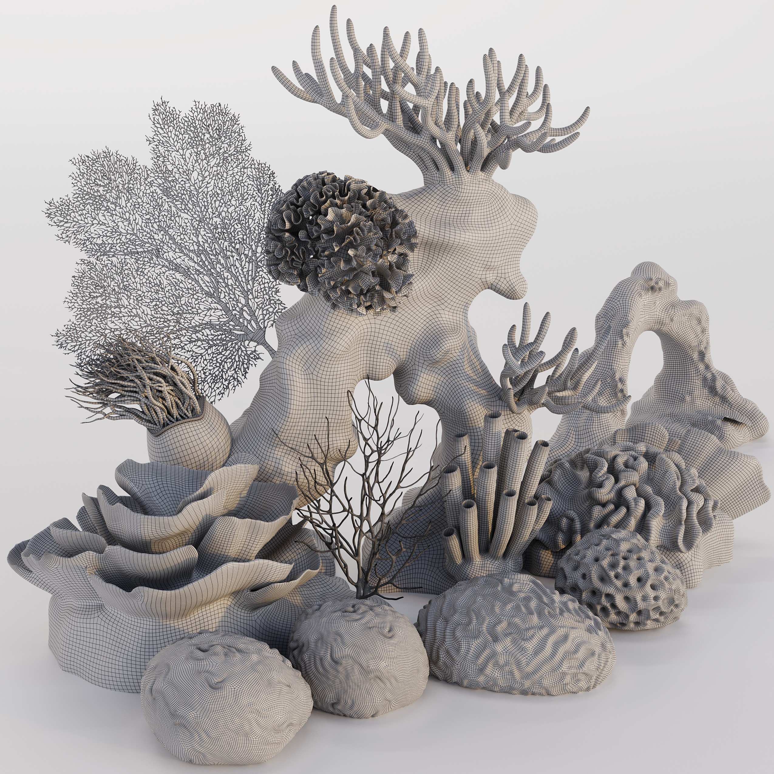 Coral 3D Model – Photorealistic Underwater Ecosystem Pack, FBX & OBJ