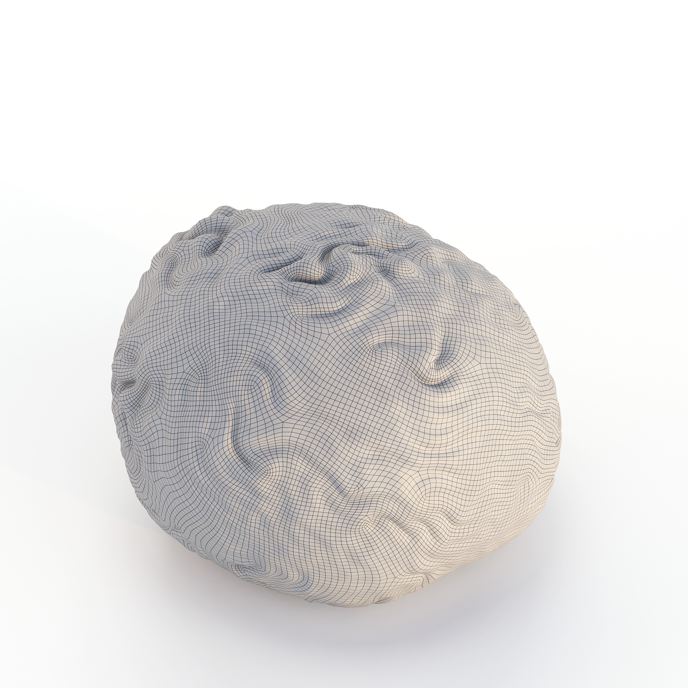 Coral 3D Model – Photorealistic Underwater Ecosystem Pack, FBX & OBJ - View 15