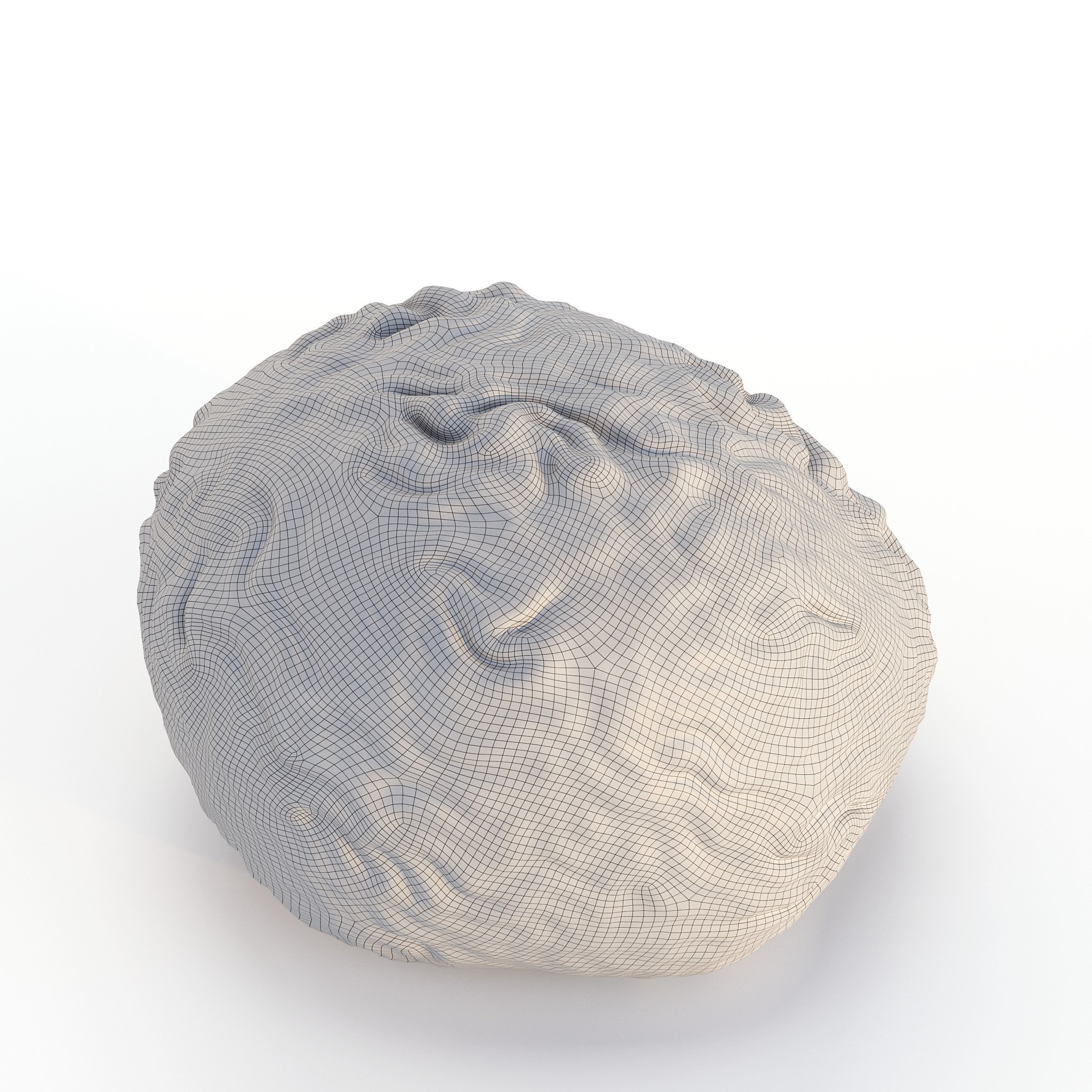 Coral 3D Model – Photorealistic Underwater Ecosystem Pack, FBX & OBJ - View 17