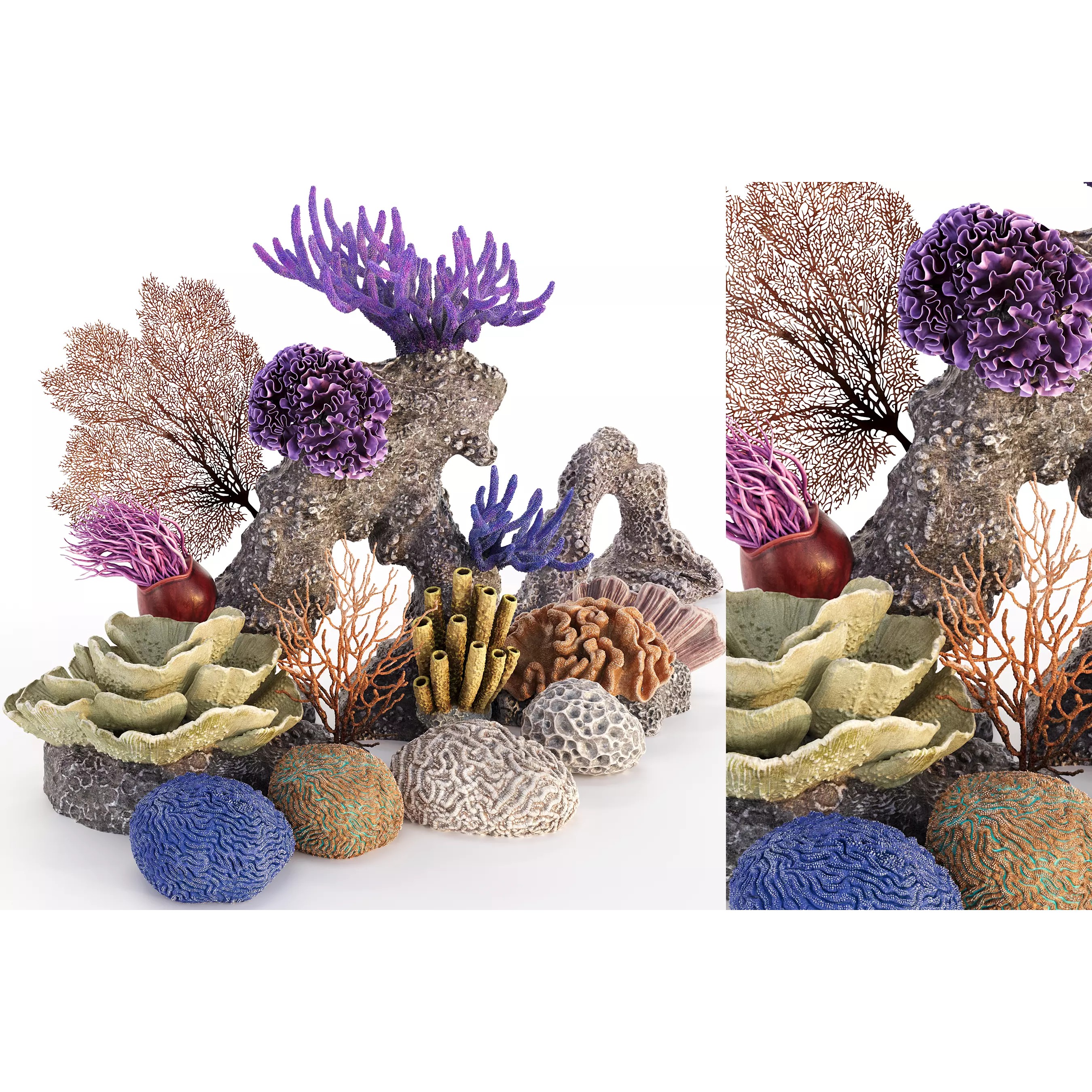 Coral 3D Model – Photorealistic Underwater Ecosystem Pack, FBX & OBJ - View 2