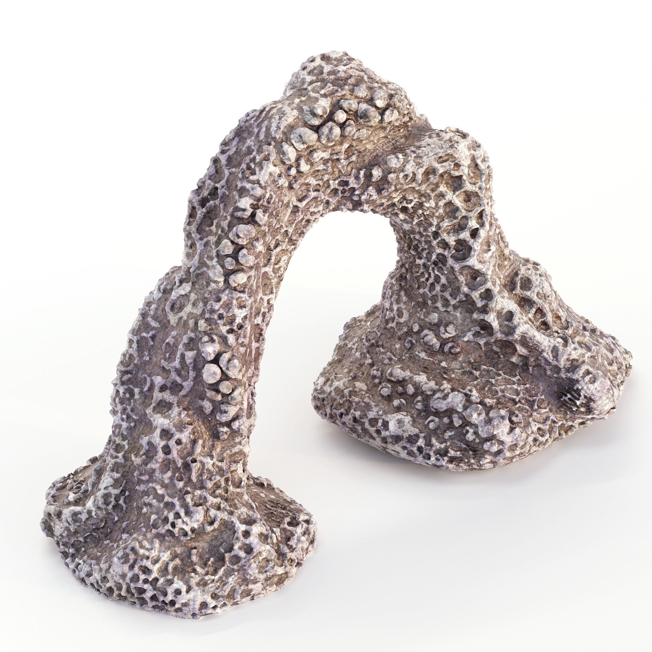 Coral 3D Model – Photorealistic Underwater Ecosystem Pack, FBX & OBJ - View 20