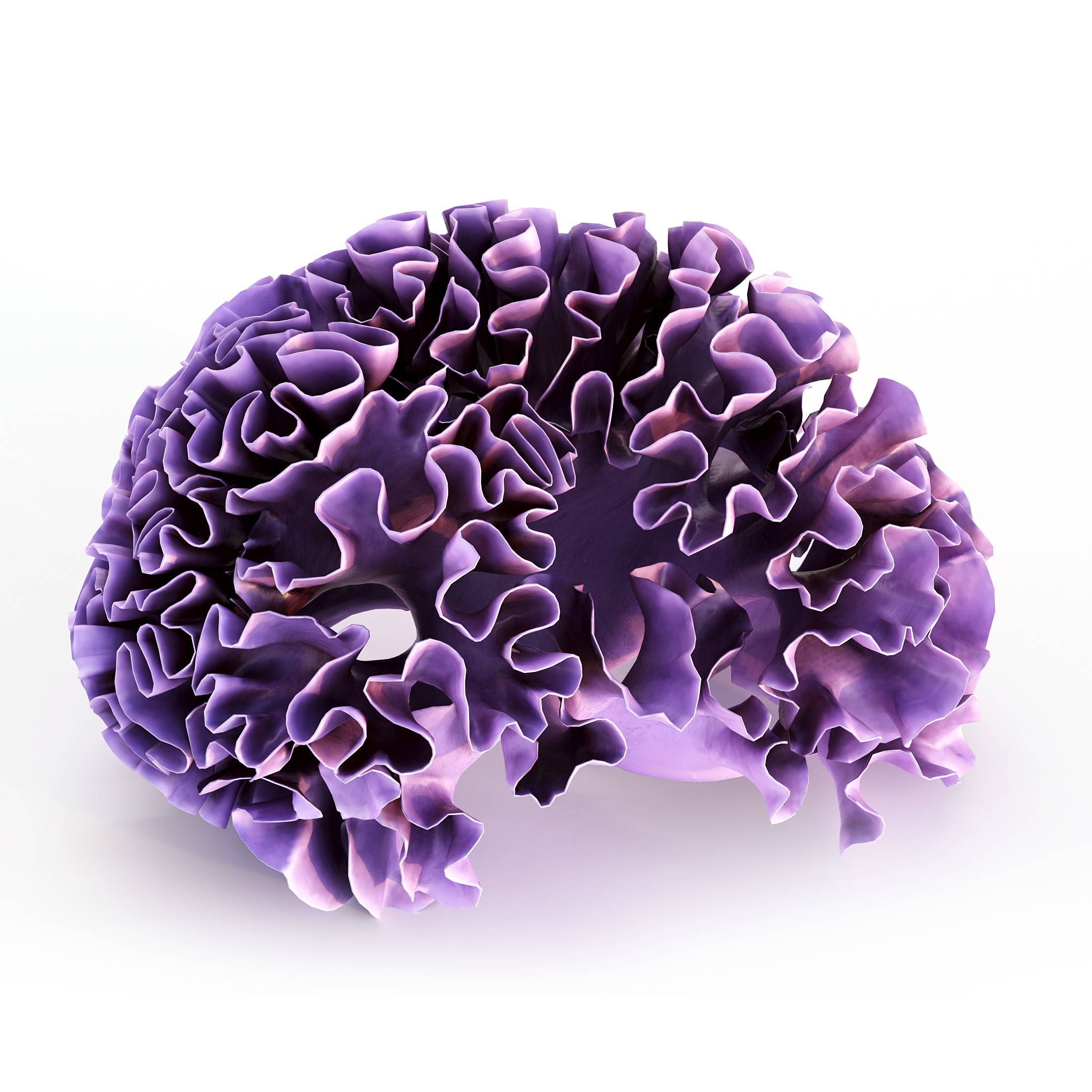 Coral 3D Model – Photorealistic Underwater Ecosystem Pack, FBX & OBJ - View 22