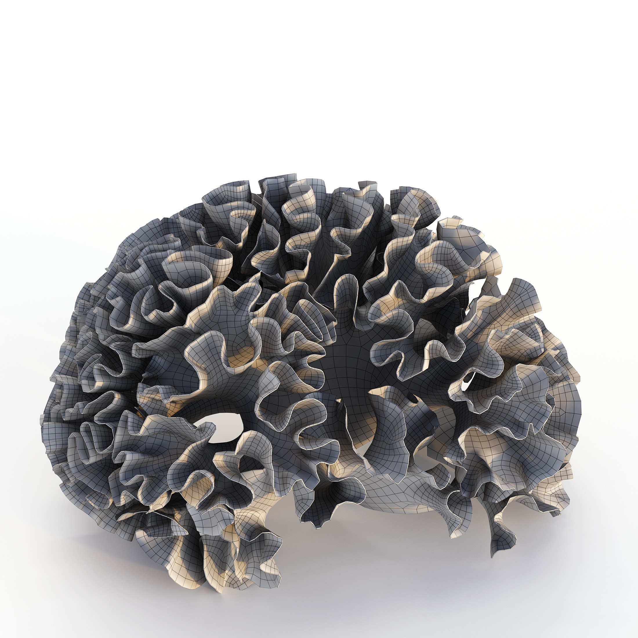 Coral 3D Model – Photorealistic Underwater Ecosystem Pack, FBX & OBJ - View 23