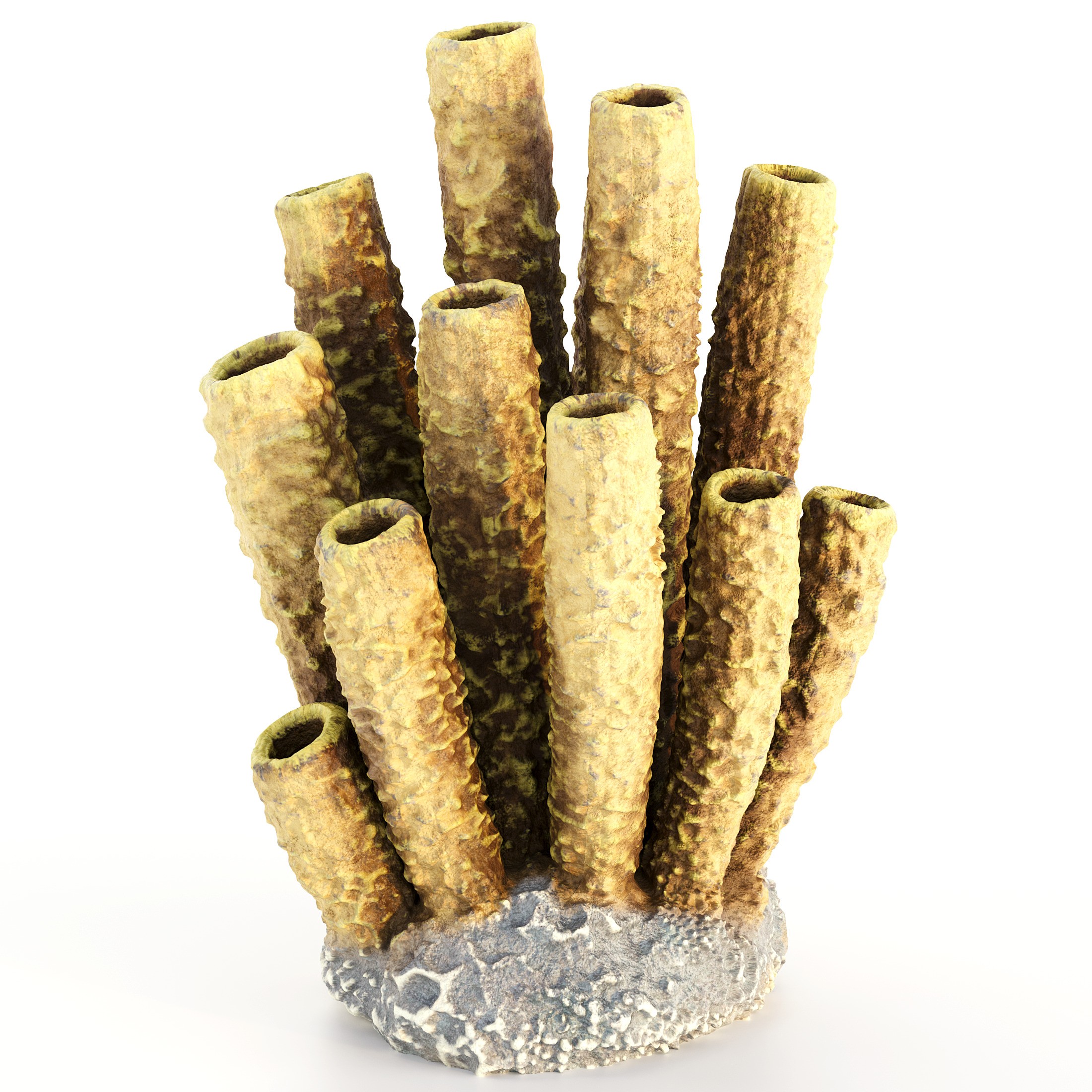 Coral 3D Model – Photorealistic Underwater Ecosystem Pack, FBX & OBJ - View 24
