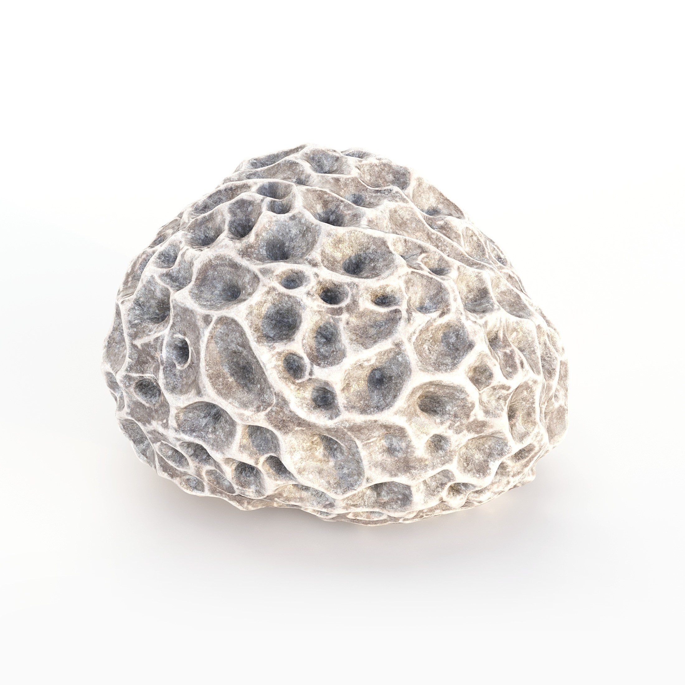 Coral 3D Model – Photorealistic Underwater Ecosystem Pack, FBX & OBJ - View 28