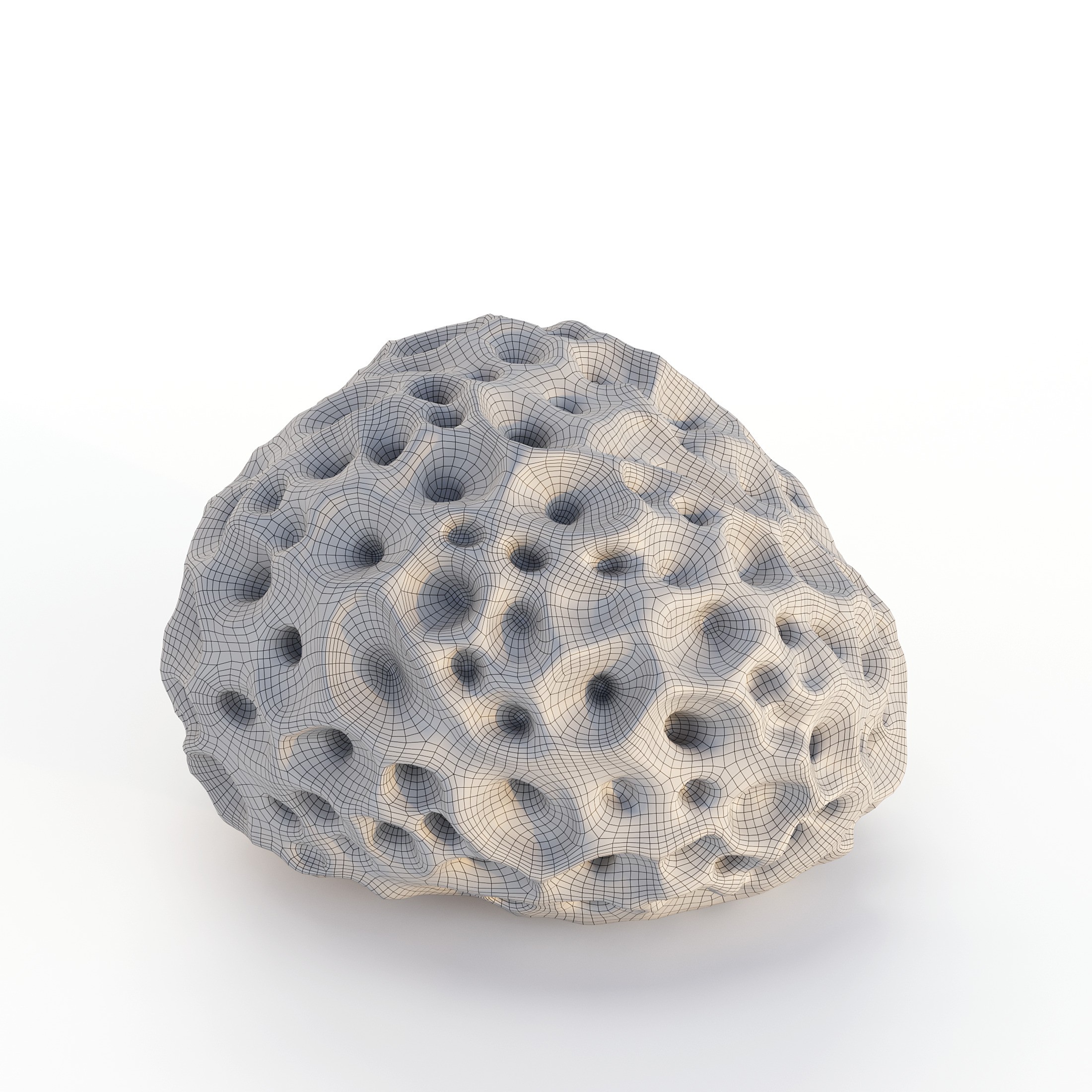 Coral 3D Model – Photorealistic Underwater Ecosystem Pack, FBX & OBJ - View 29