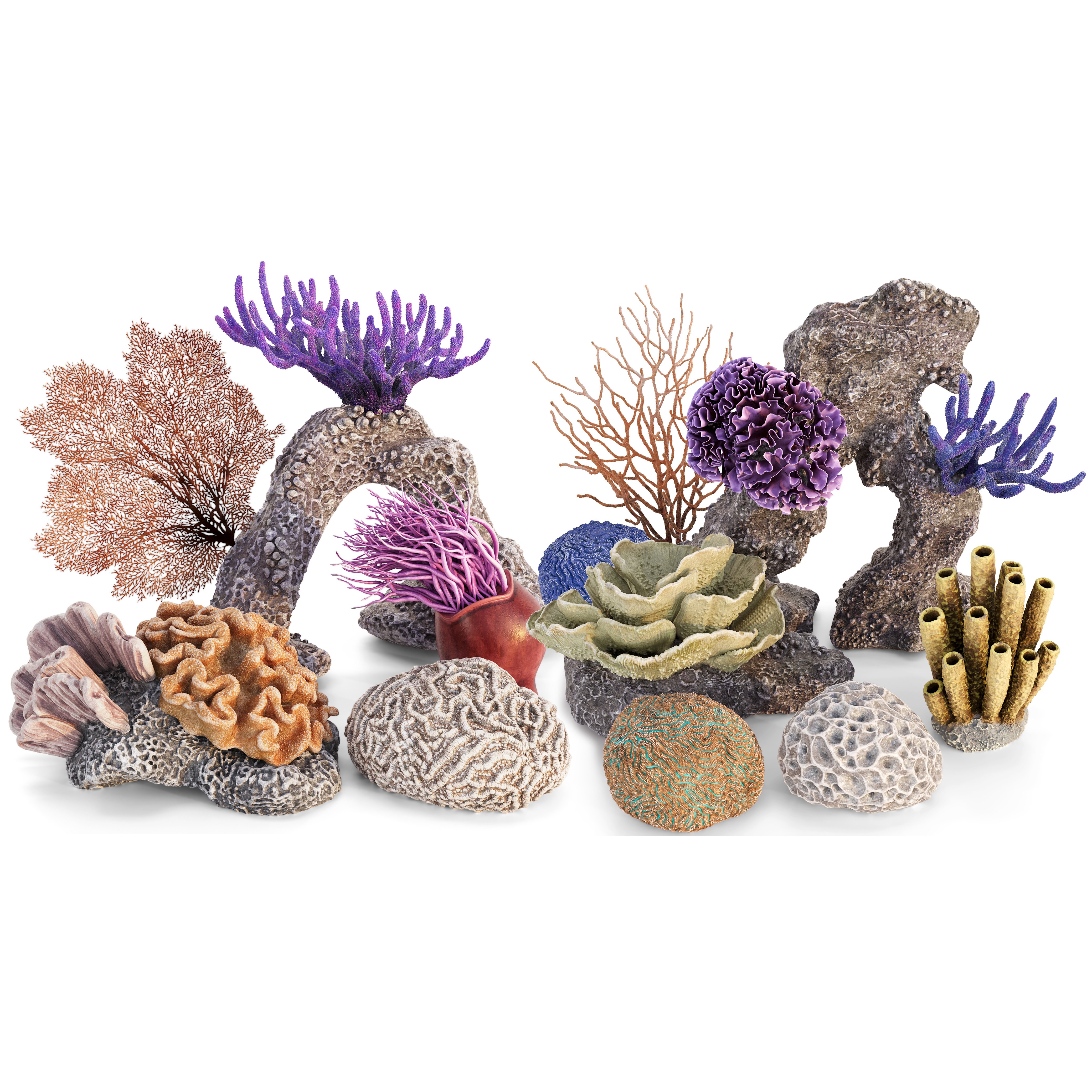 Coral 3D Model – Photorealistic Underwater Ecosystem Pack, FBX & OBJ - View 3