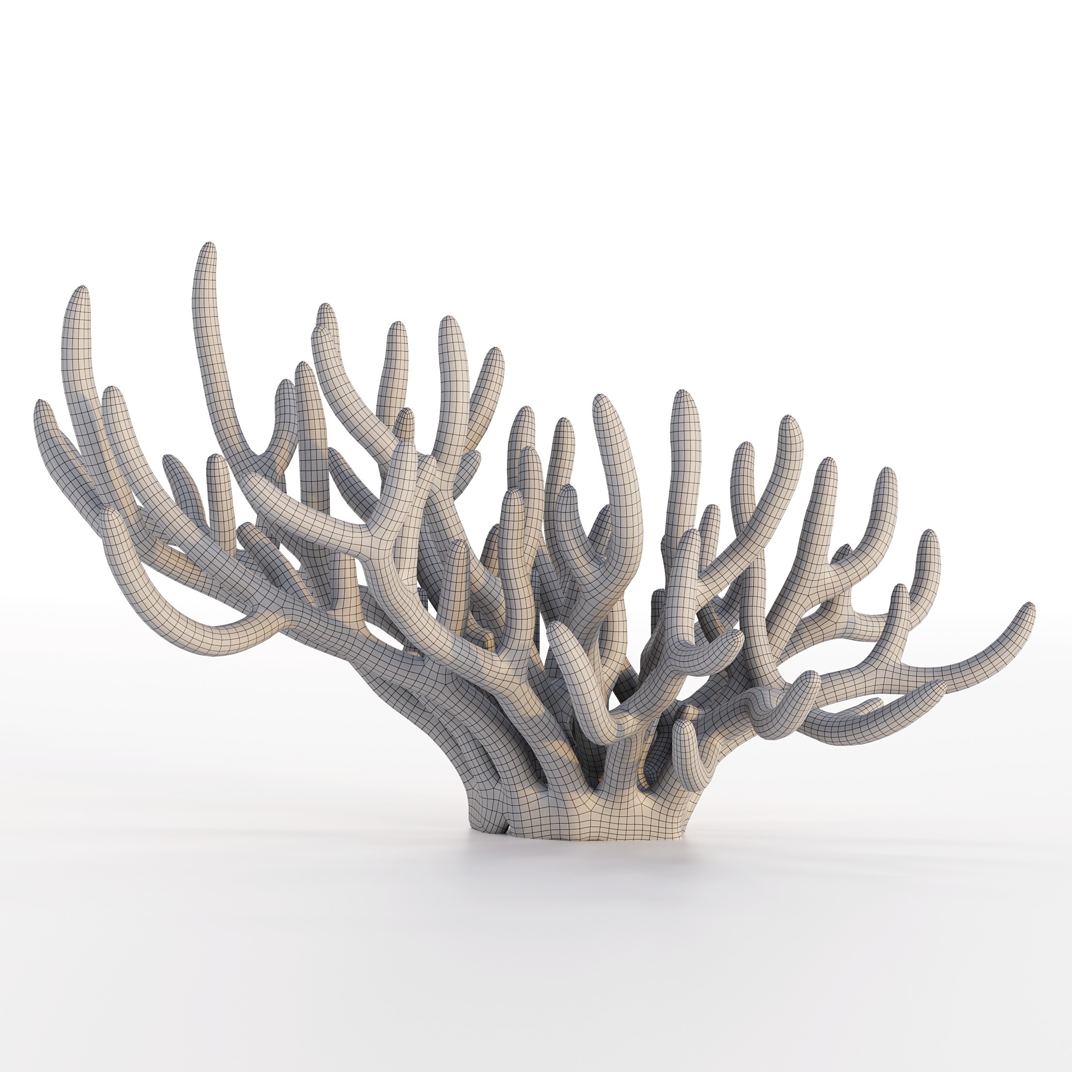 Coral 3D Model – Photorealistic Underwater Ecosystem Pack, FBX & OBJ - View 31