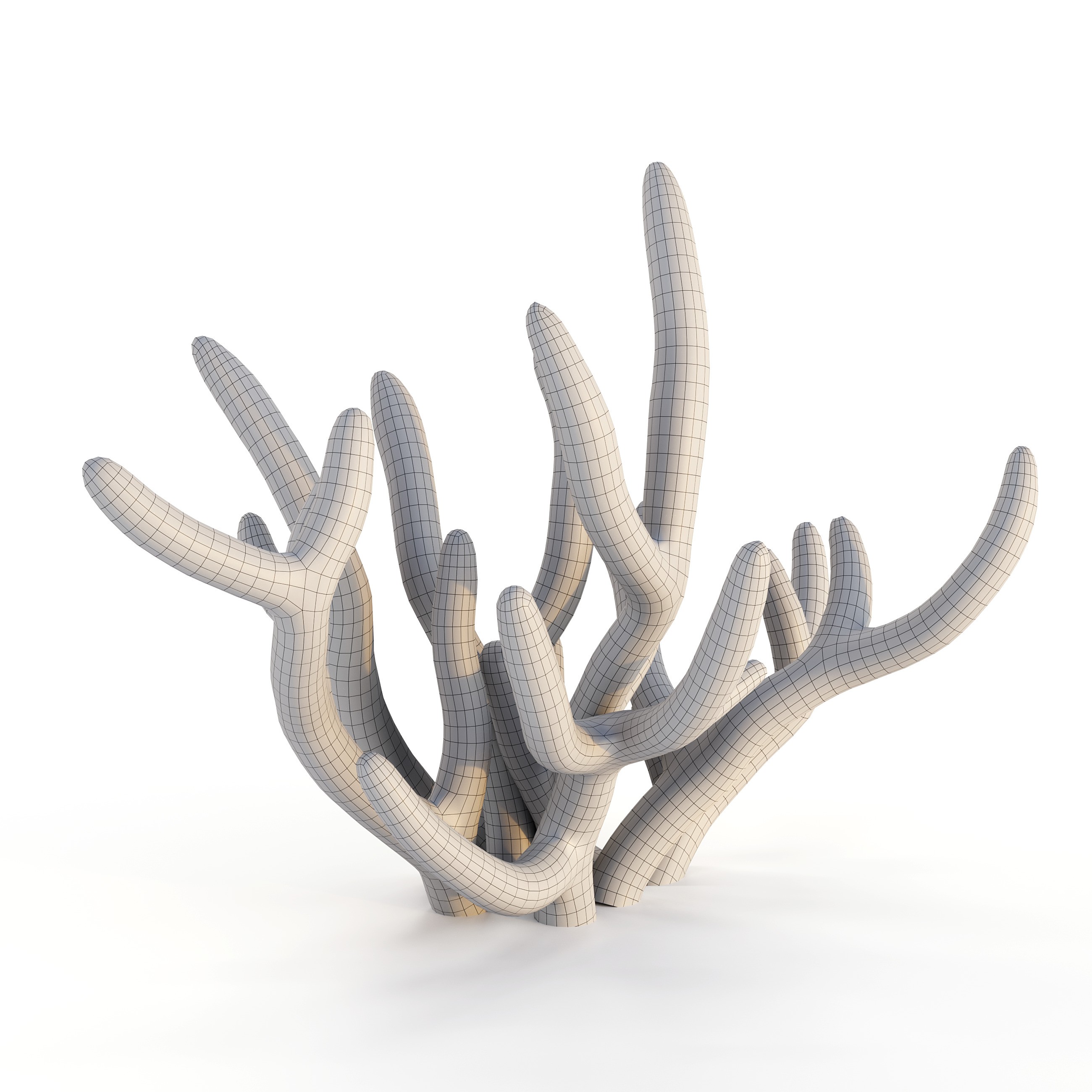 Coral 3D Model – Photorealistic Underwater Ecosystem Pack, FBX & OBJ - View 33