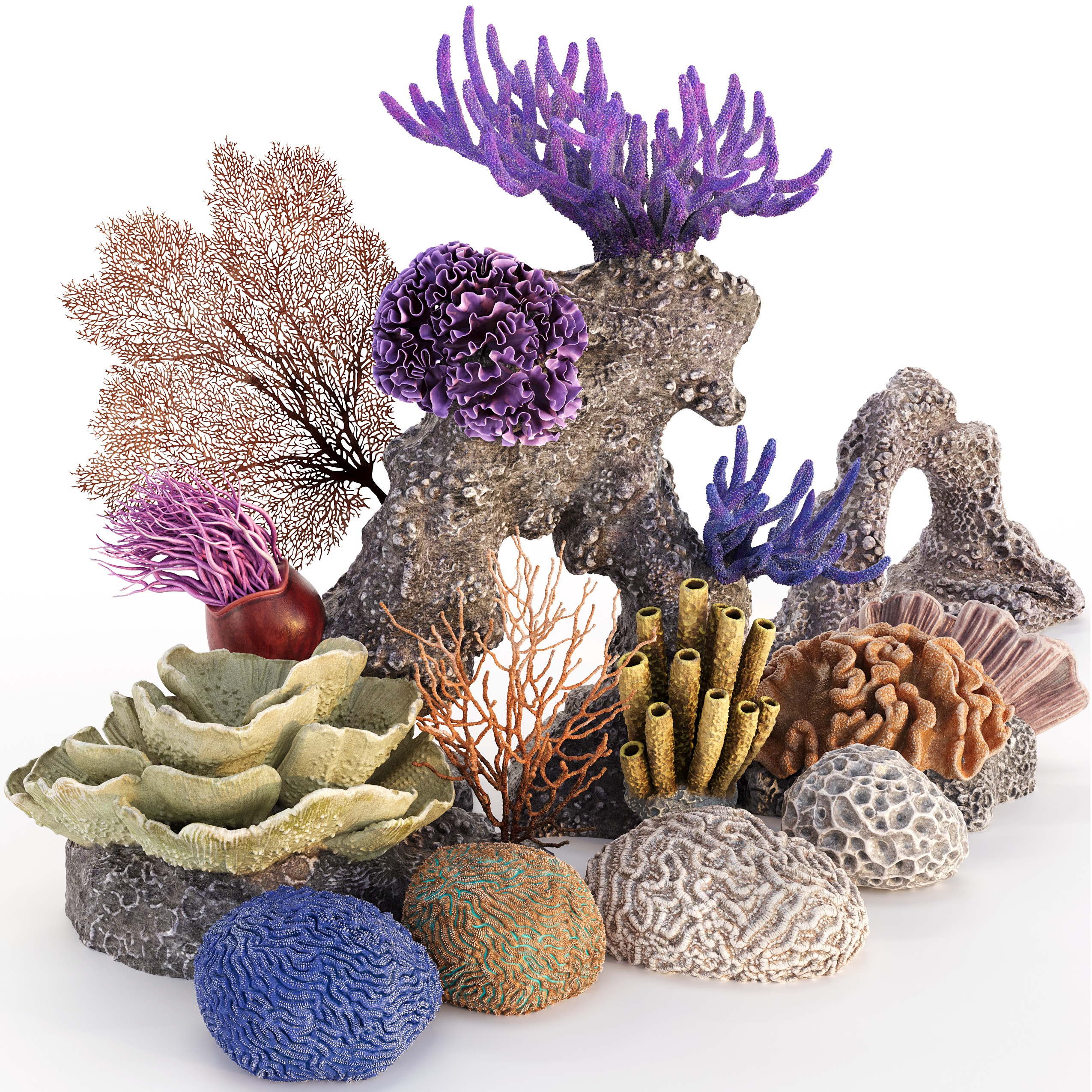 Coral 3D Model – Photorealistic Underwater Ecosystem Pack, FBX & OBJ - View 4