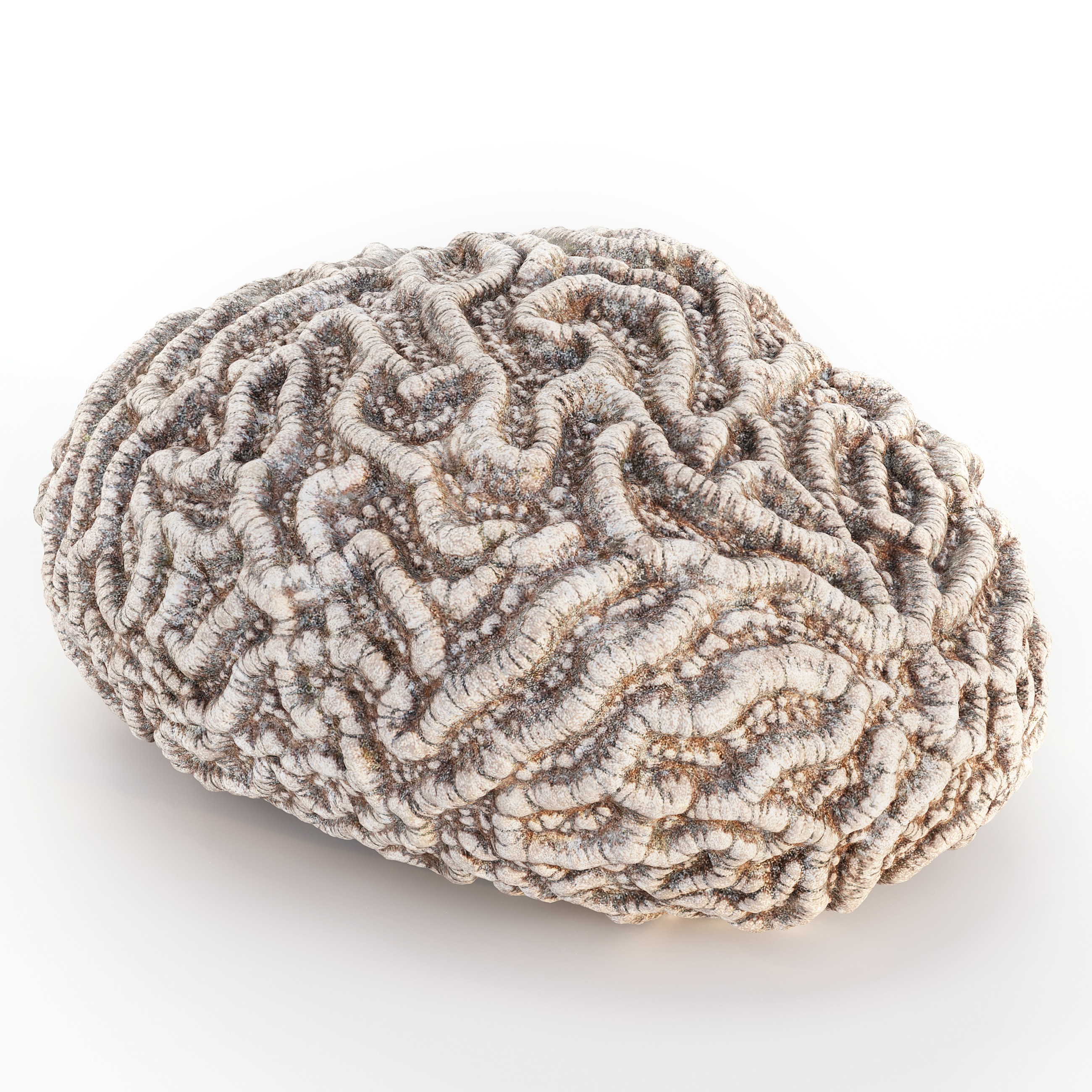 Coral 3D Model – Photorealistic Underwater Ecosystem Pack, FBX & OBJ - View 6