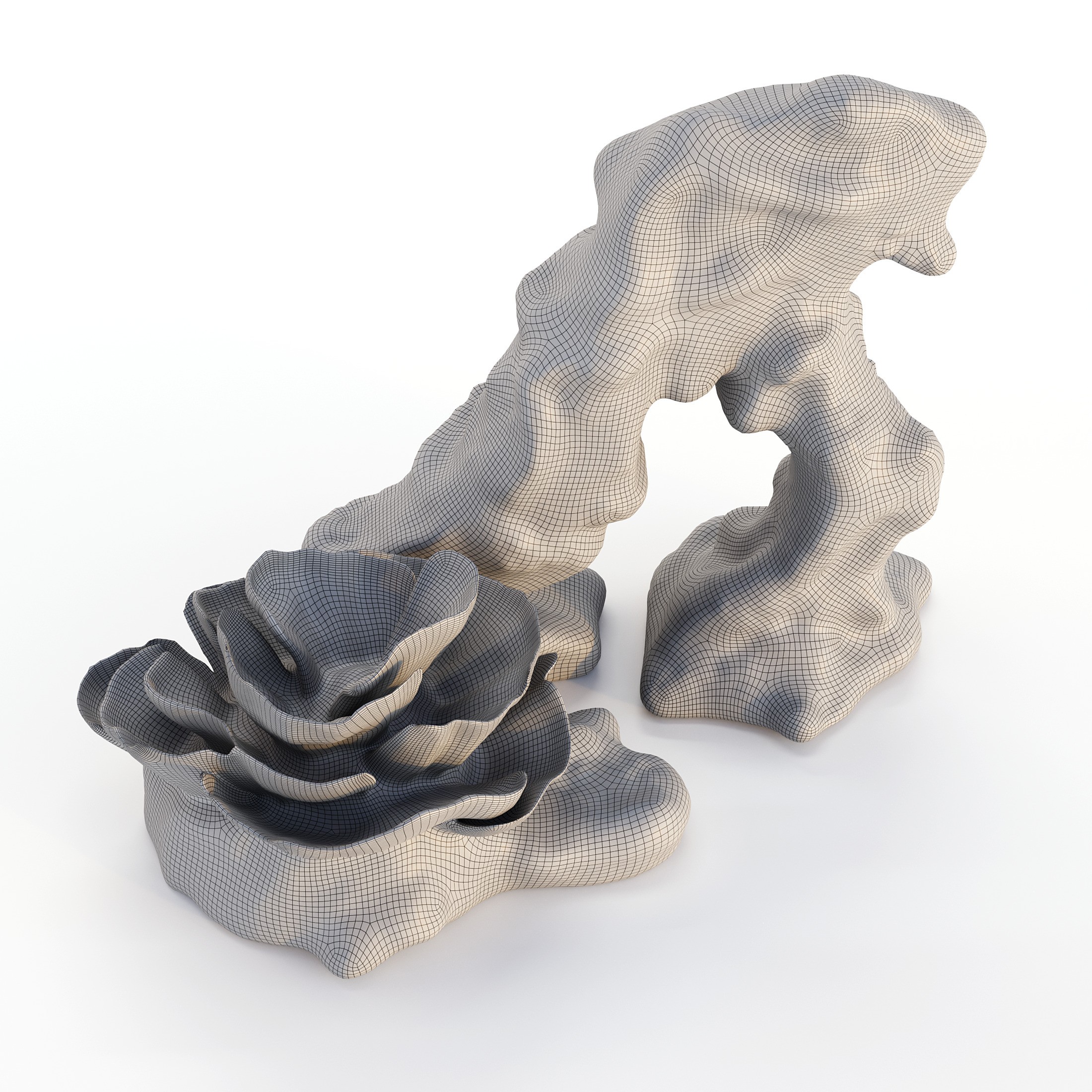 Coral 3D Model – Photorealistic Underwater Ecosystem Pack, FBX & OBJ - View 9