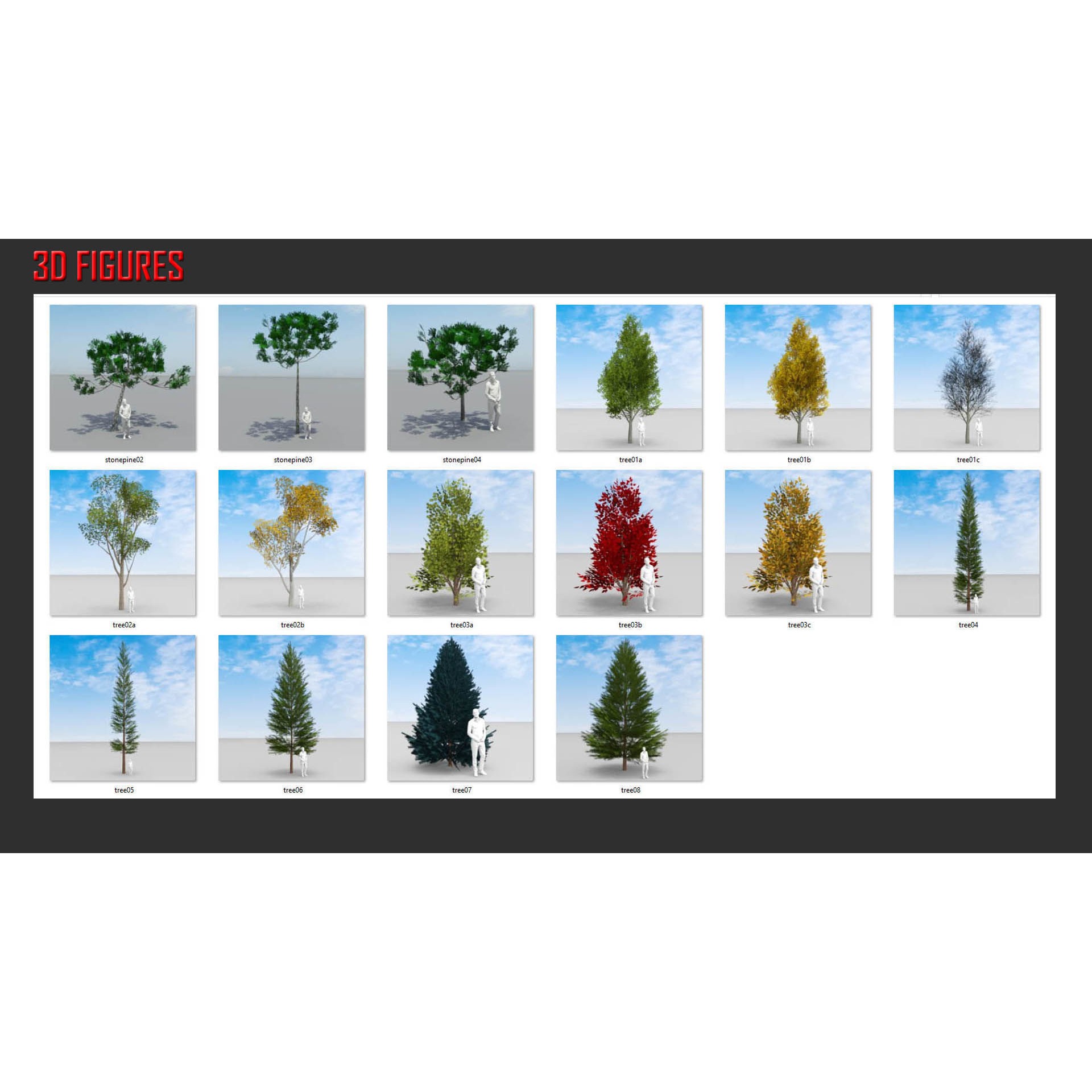 Temperate Trees 3D Model – Low Poly Collection for SketchUp