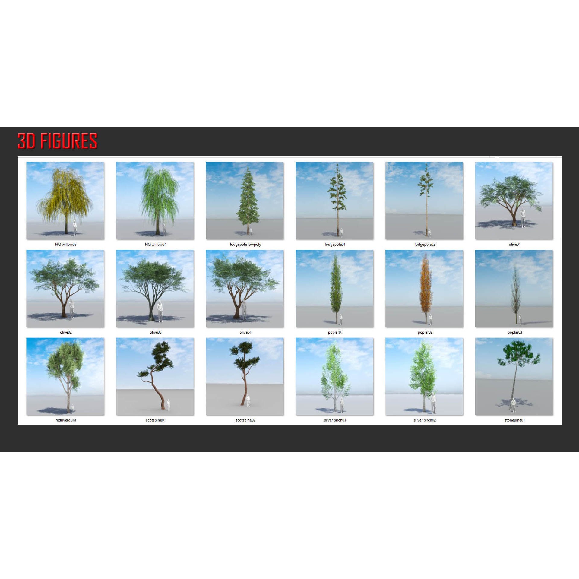 Temperate Trees 3D Model – Low Poly Collection for SketchUp - View 10