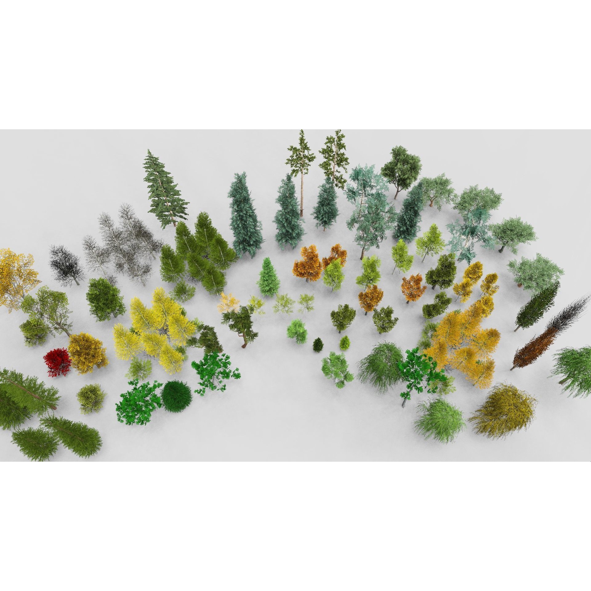 Temperate Trees 3D Model – Low Poly Collection for SketchUp - View 3