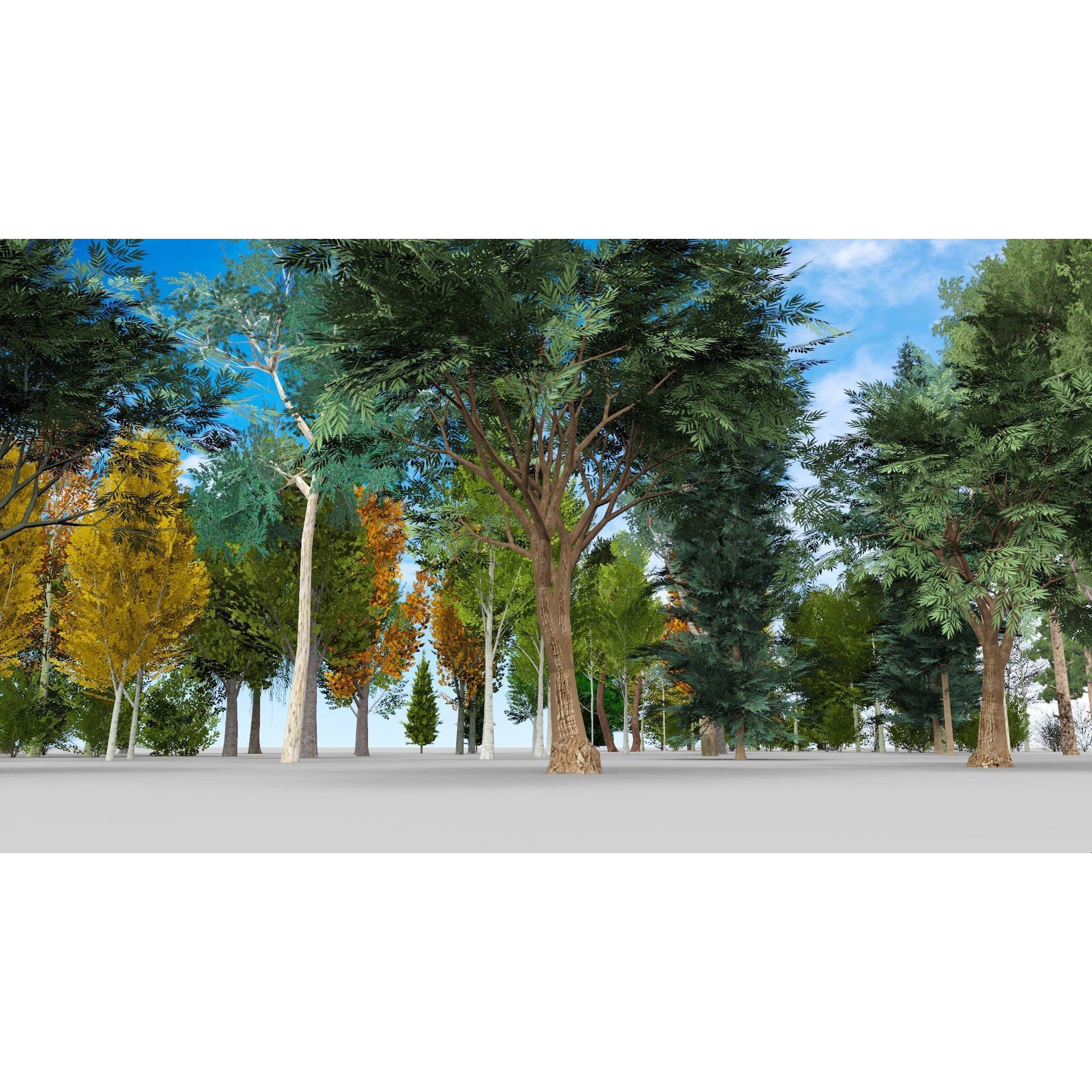 Temperate Trees 3D Model – Low Poly Collection for SketchUp - View 5